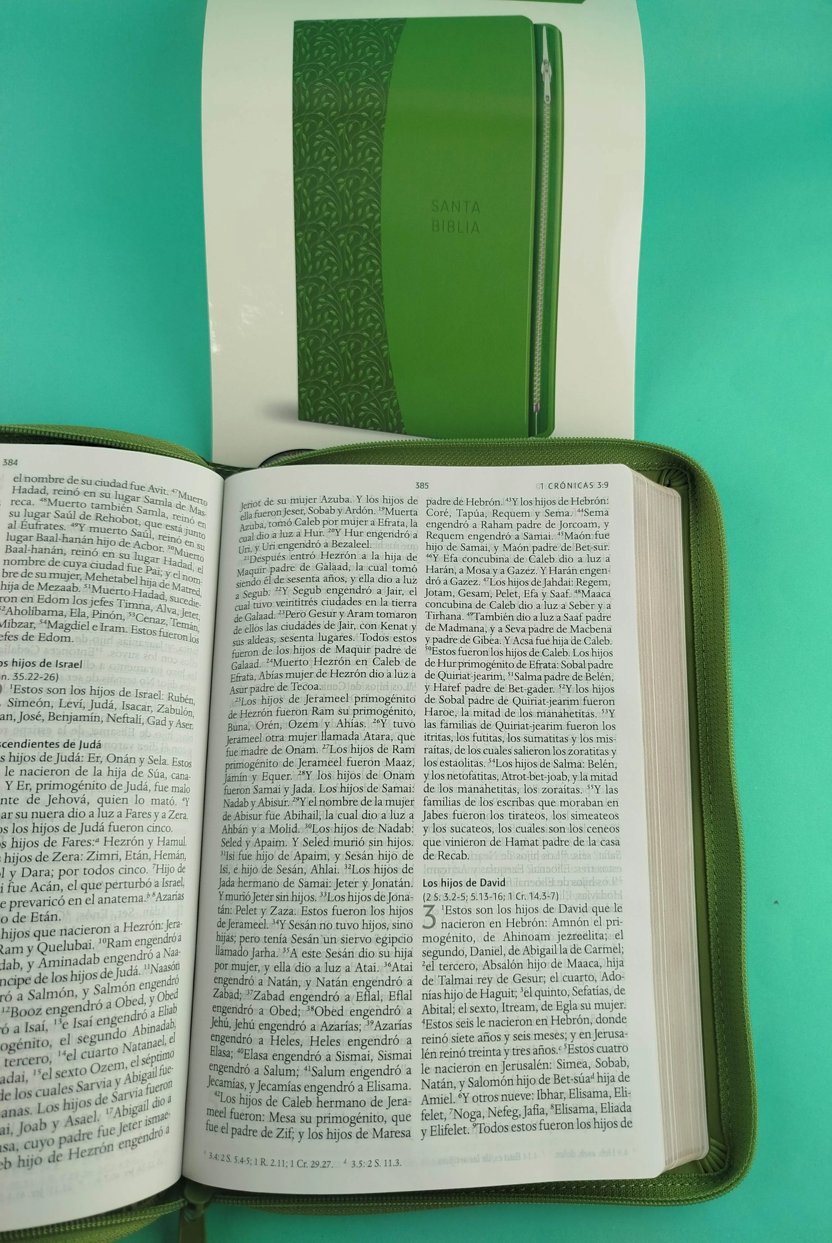 Biblia rvr 1960 letra grande tipo agenda verde con cierre e imágenes de la tierra santa - Image 4