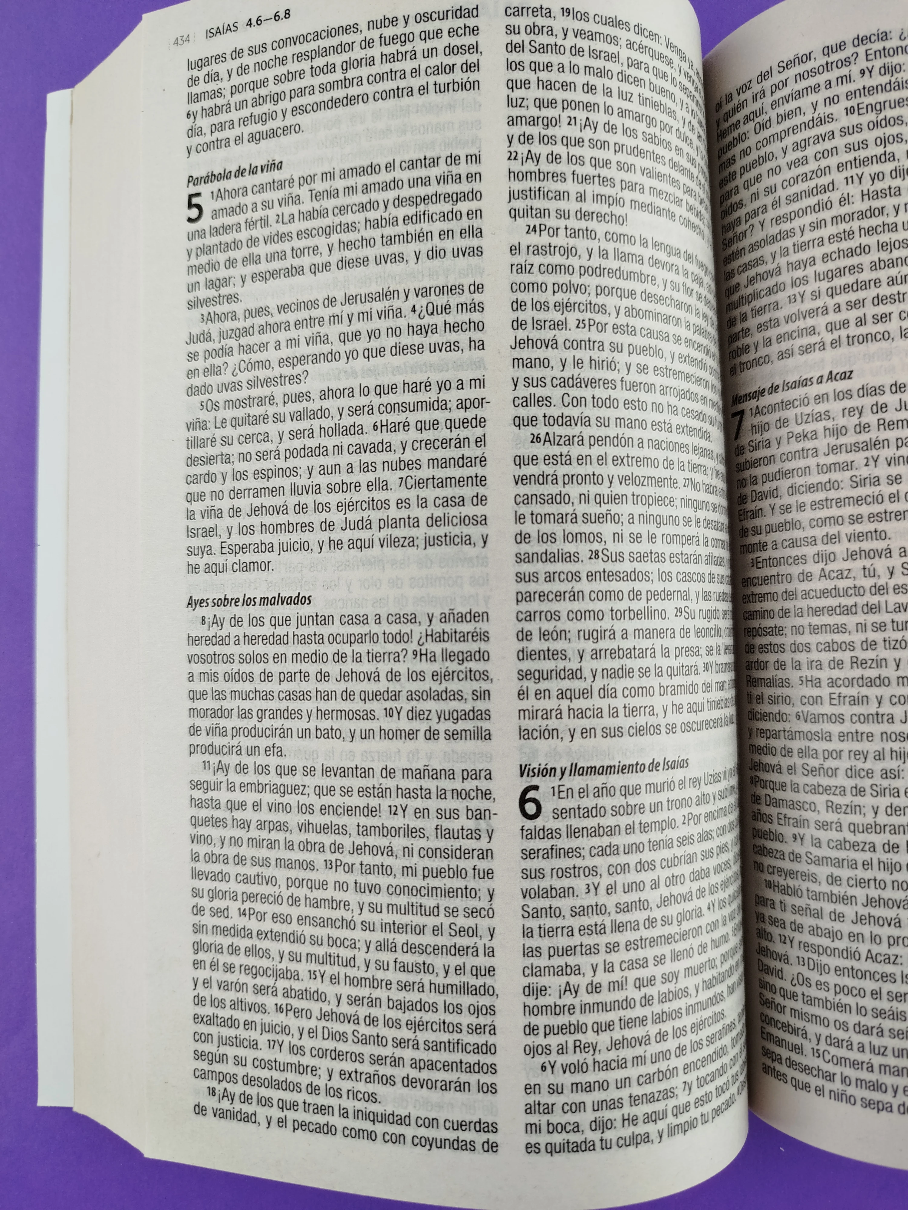 Biblia rvr 1960 misionera morado flores - Image 3