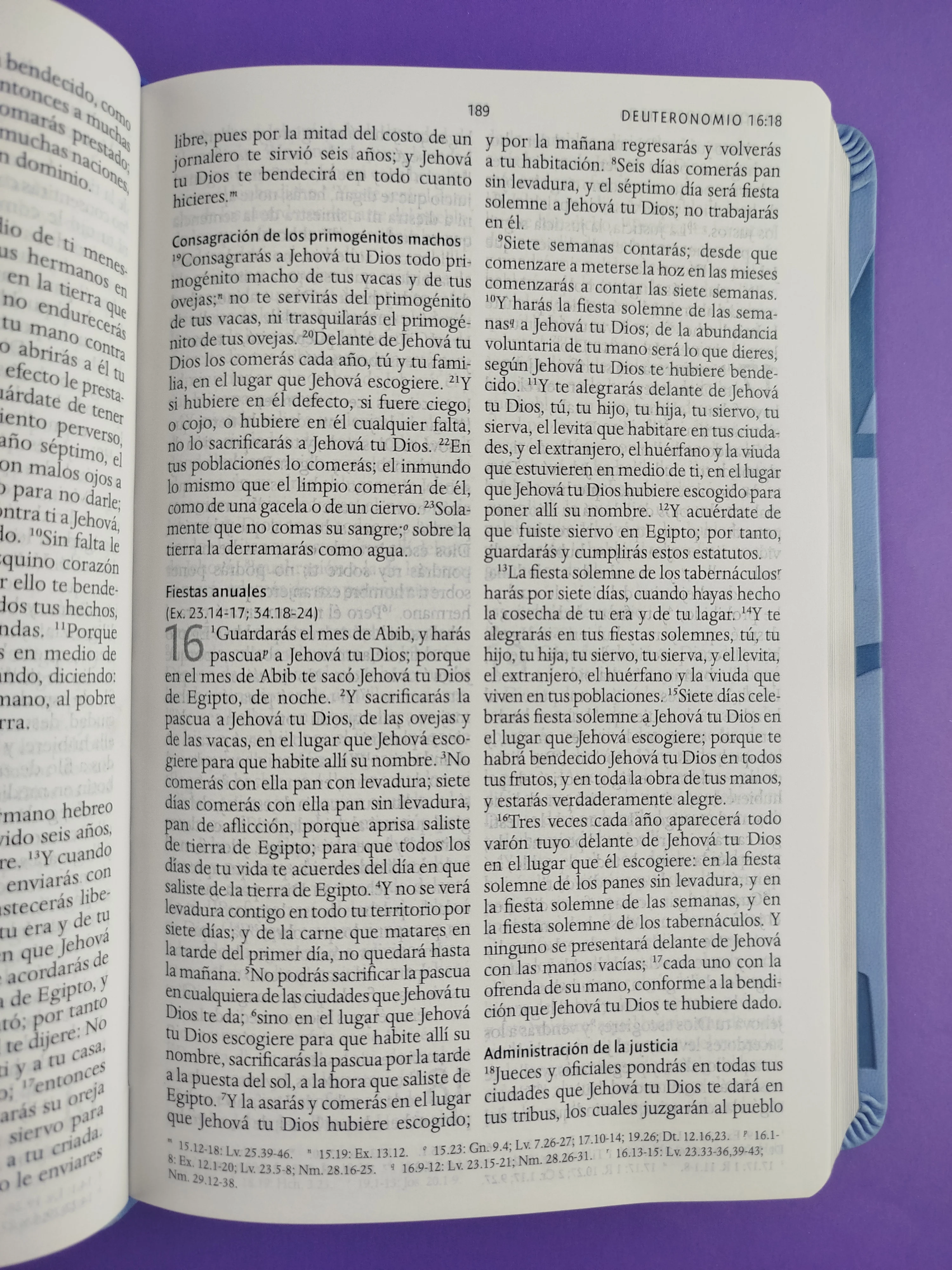 Biblia rvr 1960 nombres de Dios letra grande azul celeste canto plateado - Image 3