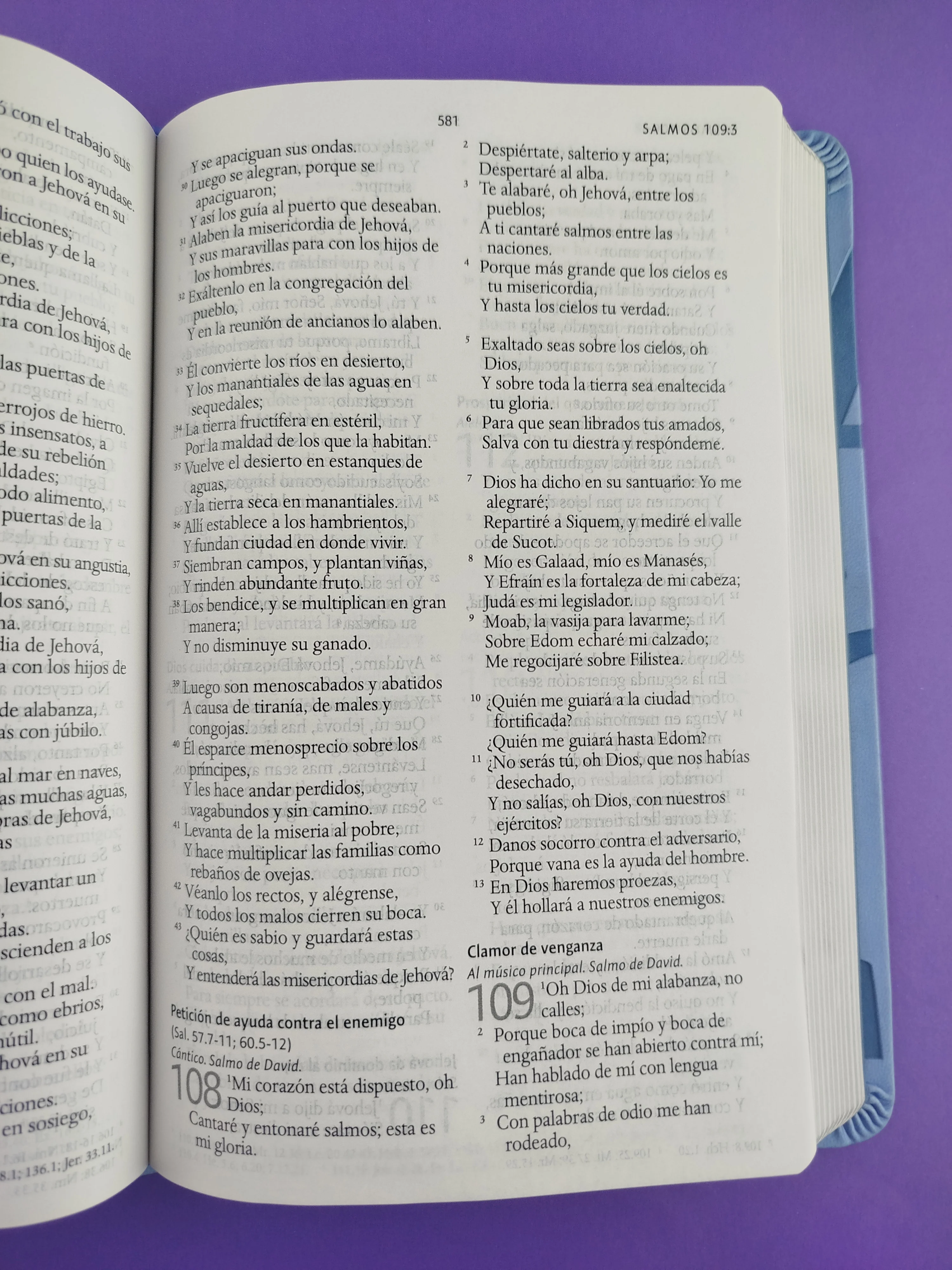Biblia rvr 1960 nombres de Dios letra grande azul celeste canto plateado - Image 5