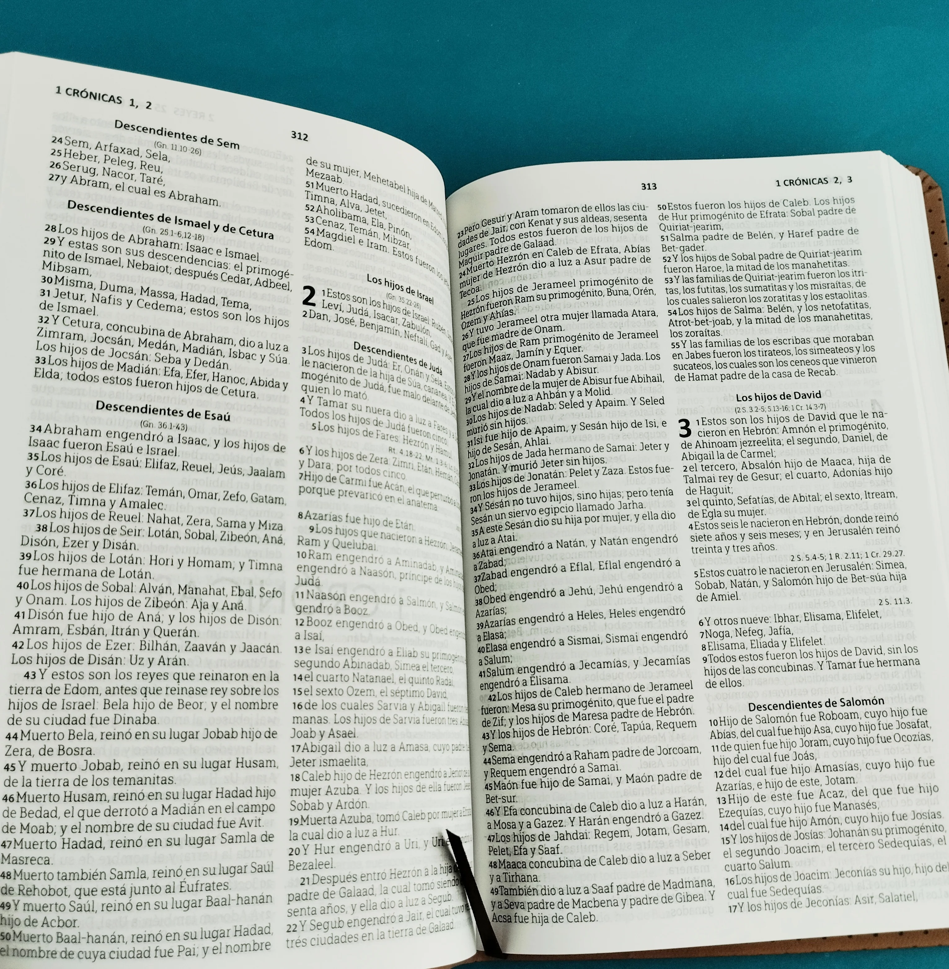 Biblia rvr 1960 tipo agenda caramelo - Image 4