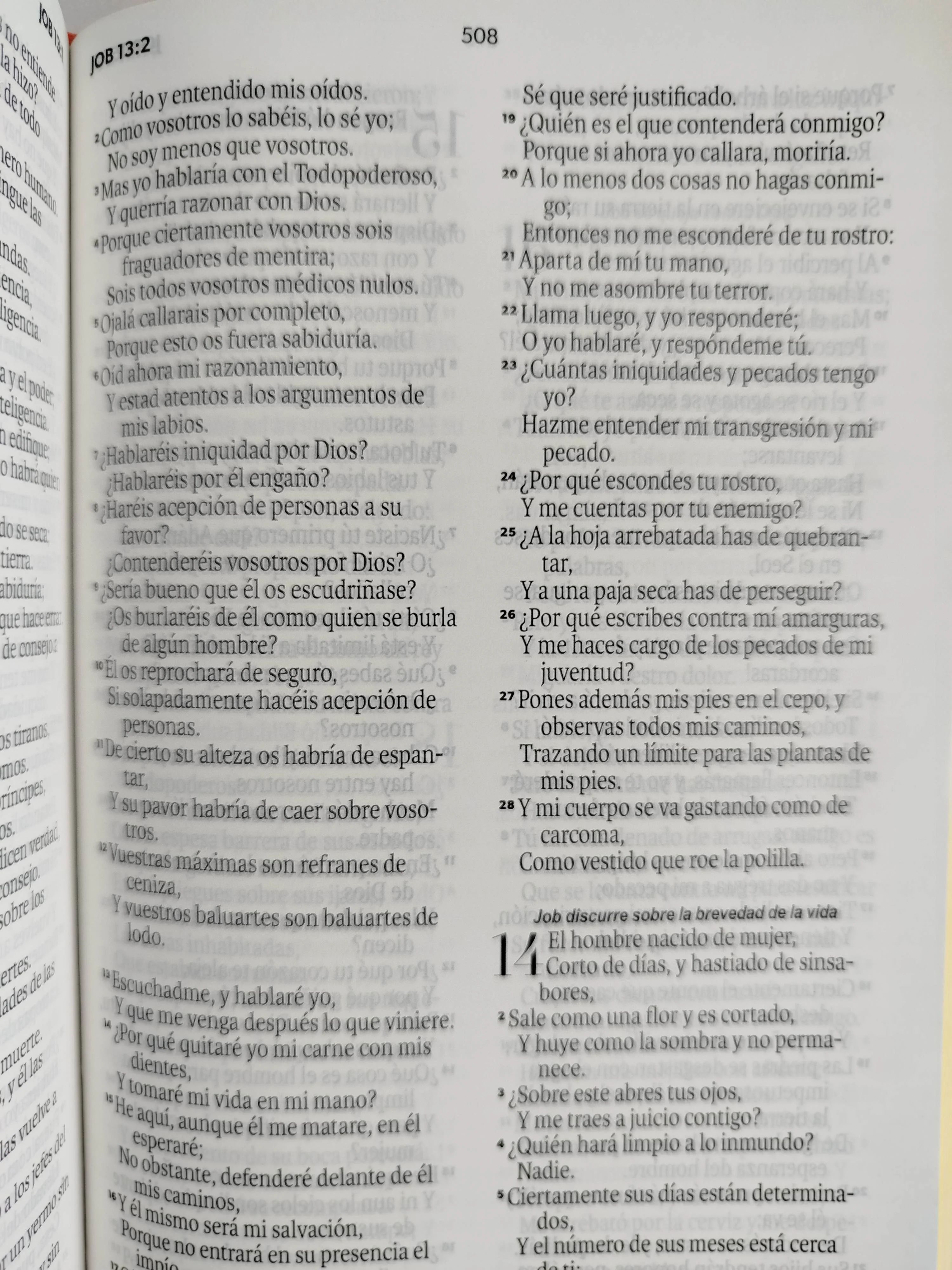 Biblia RVR letra grande coral canto dorado premios y regalos - Image 2