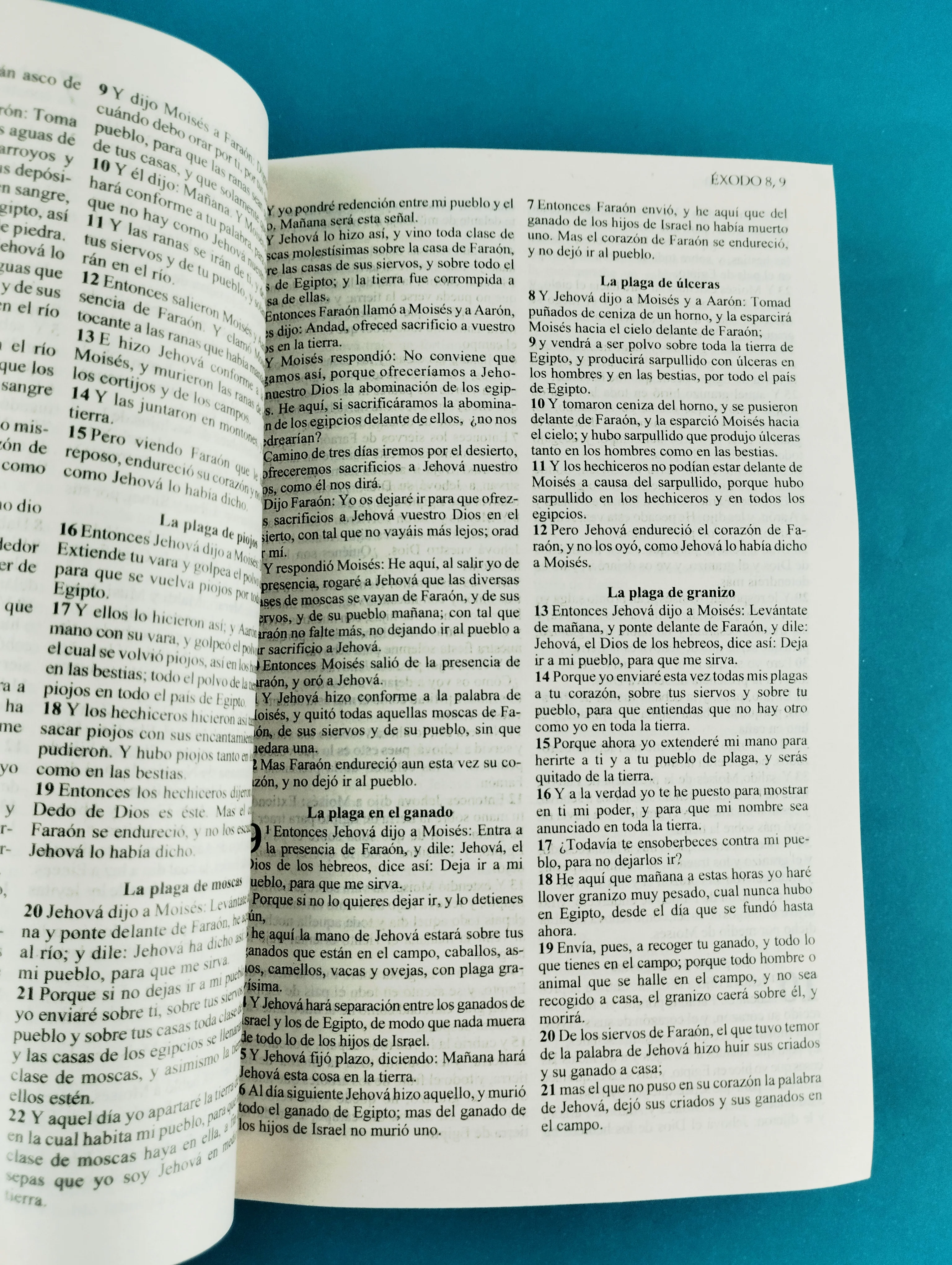 Biblia rvr promesas Jesús para todos - Image 2