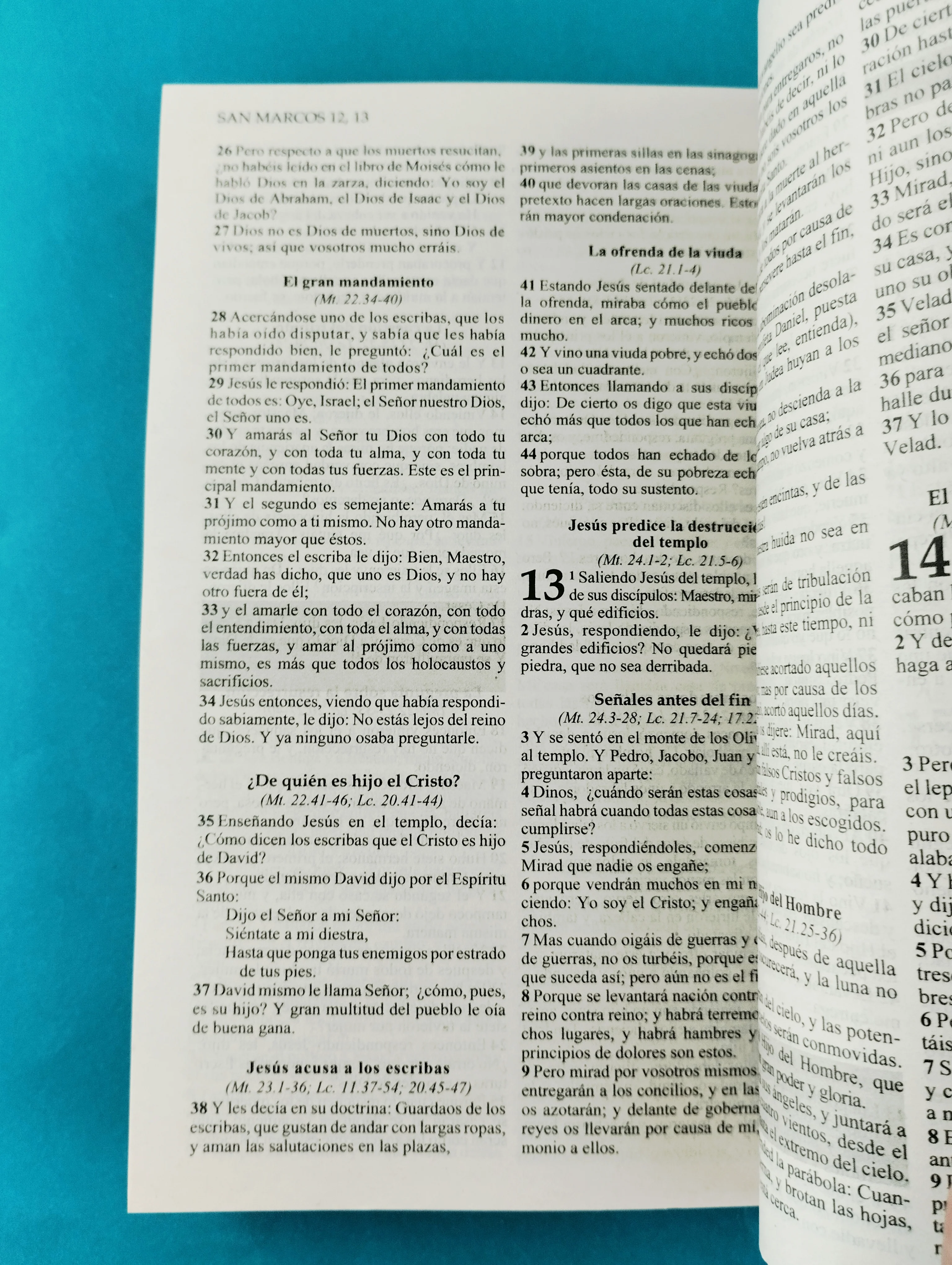 Biblia rvr promesas Jesús para todos - Image 3