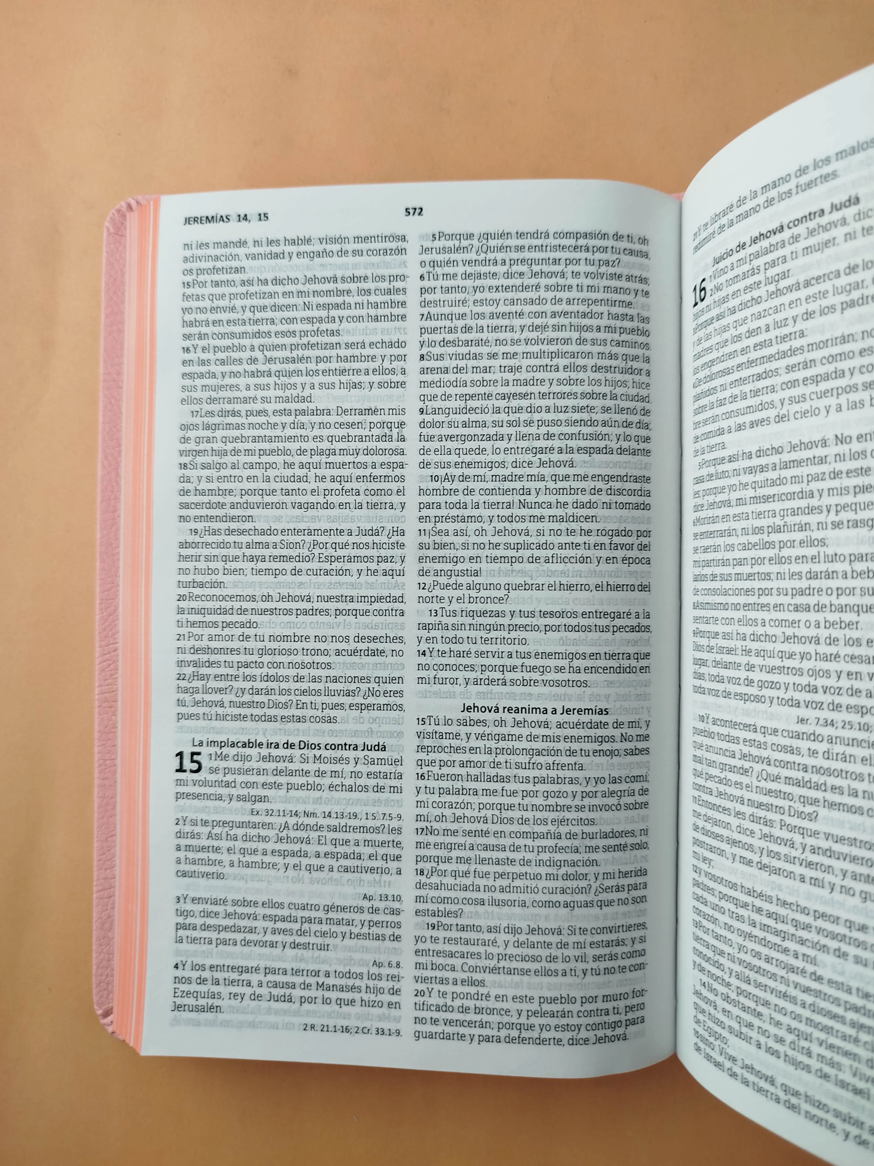 Biblia tipo agenda rosada - Image 3