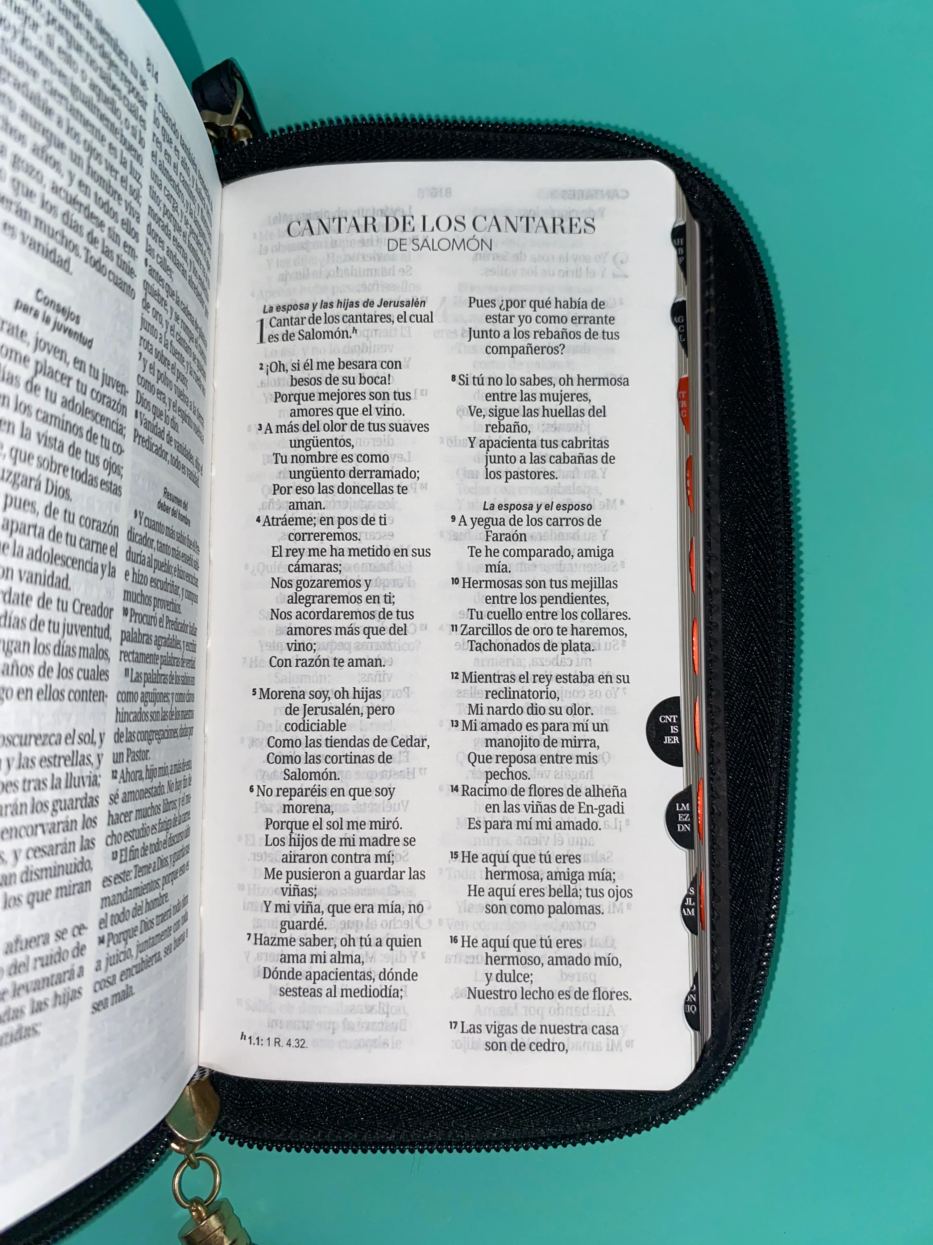 Biblia tipo chequera rvr 1960 con cierre e índice negro - beige - Image 2