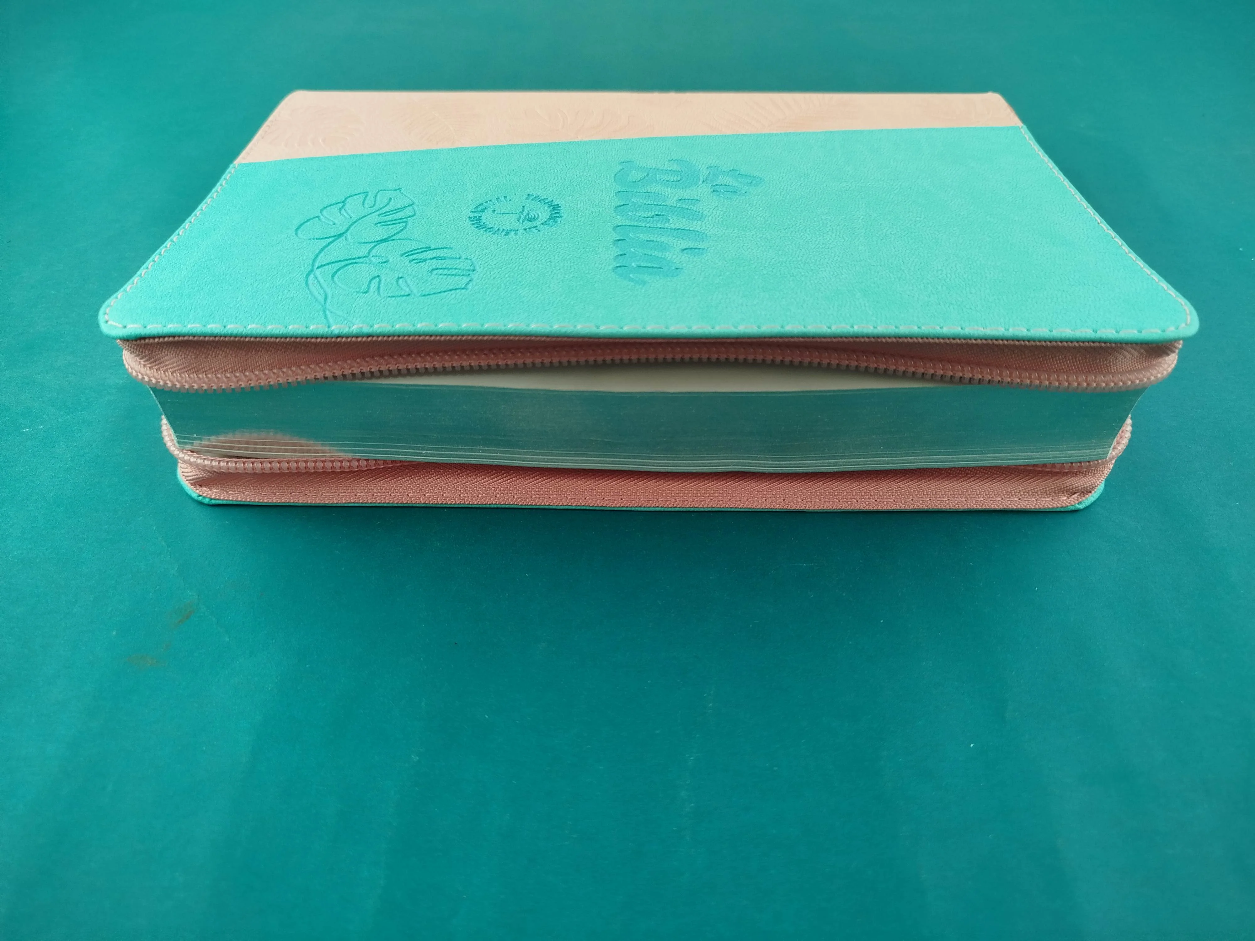 Biblia Tla Verde Menta - Rosa - Image 3