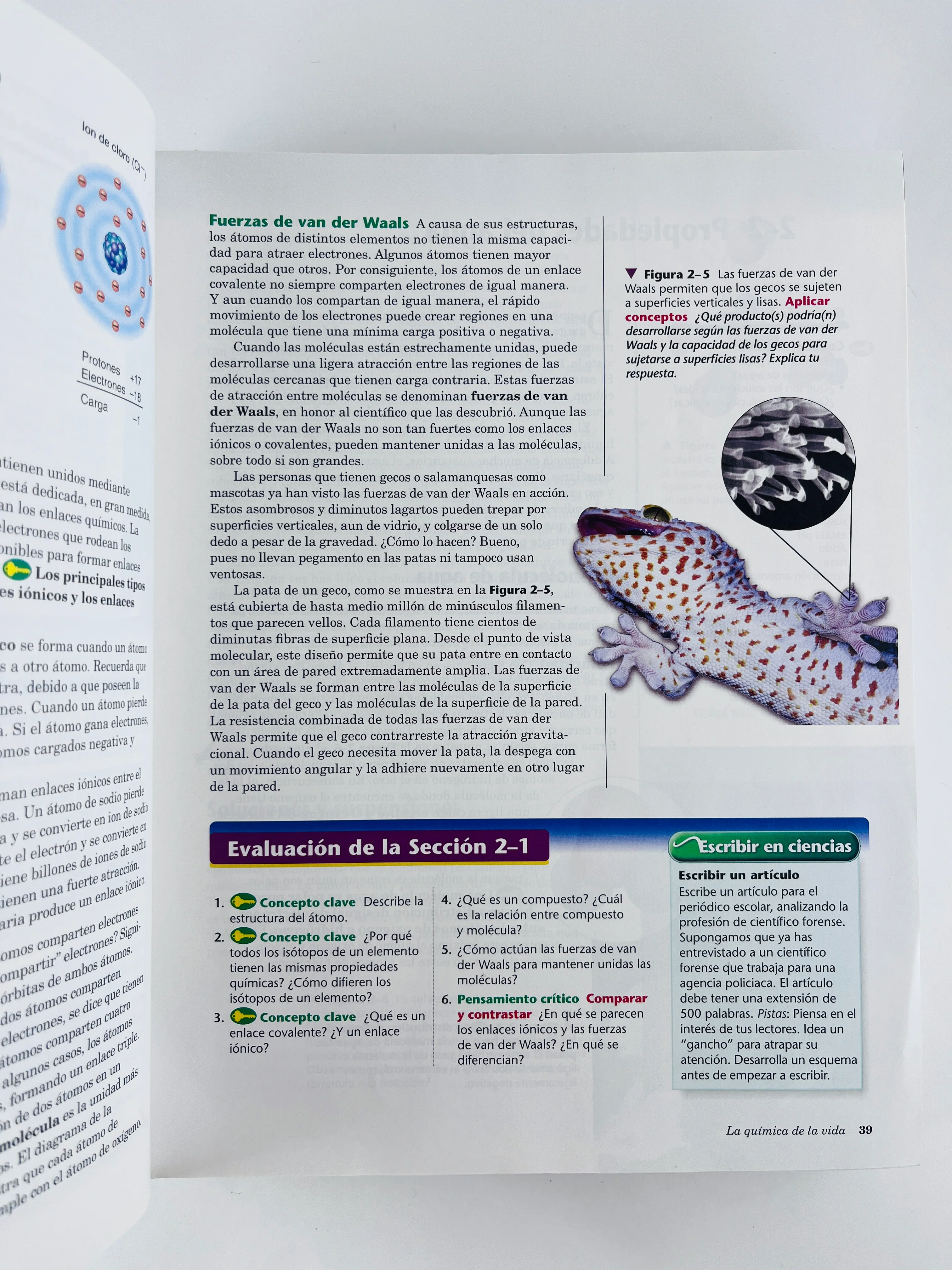 Biología - Image 3