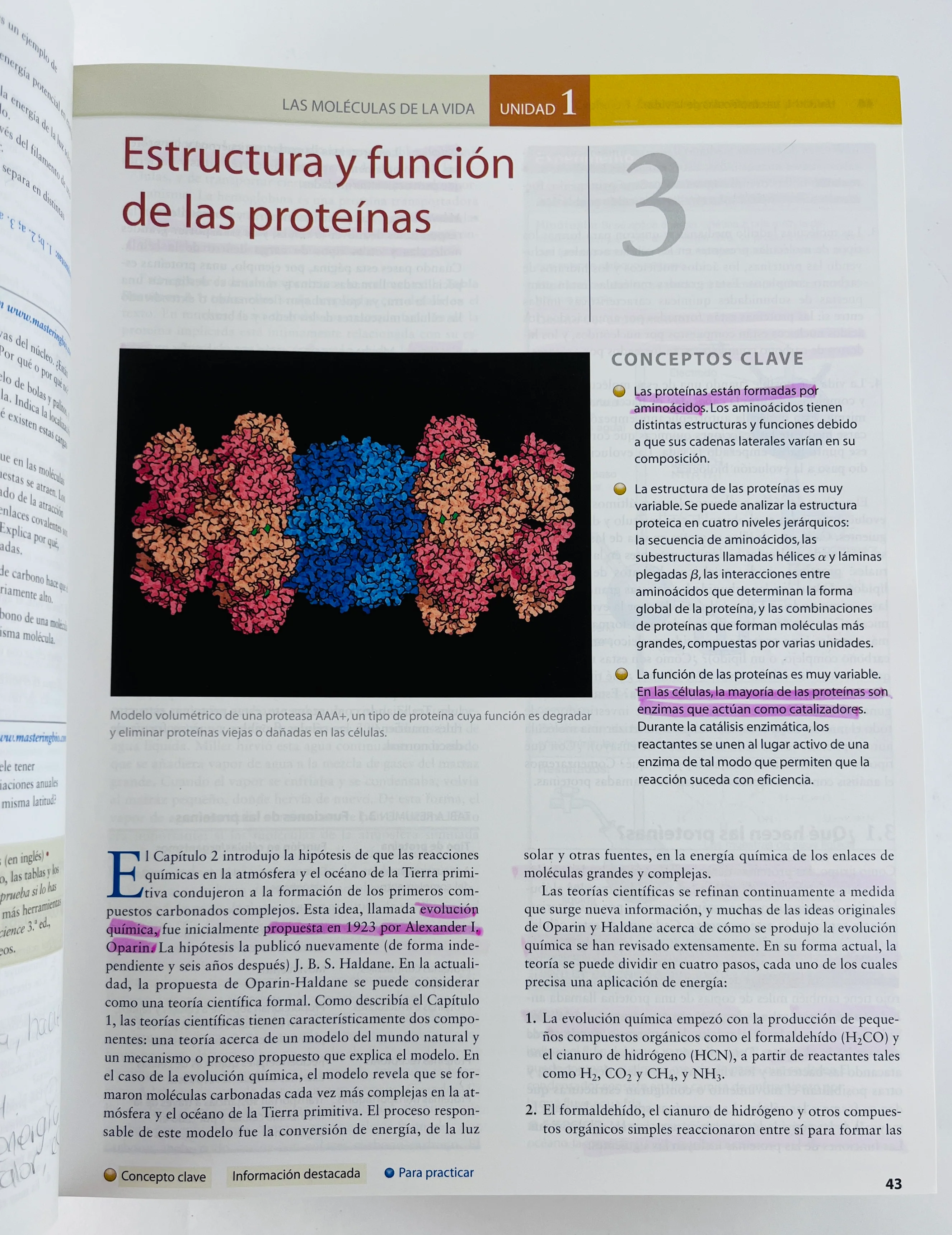 Biología - Image 3