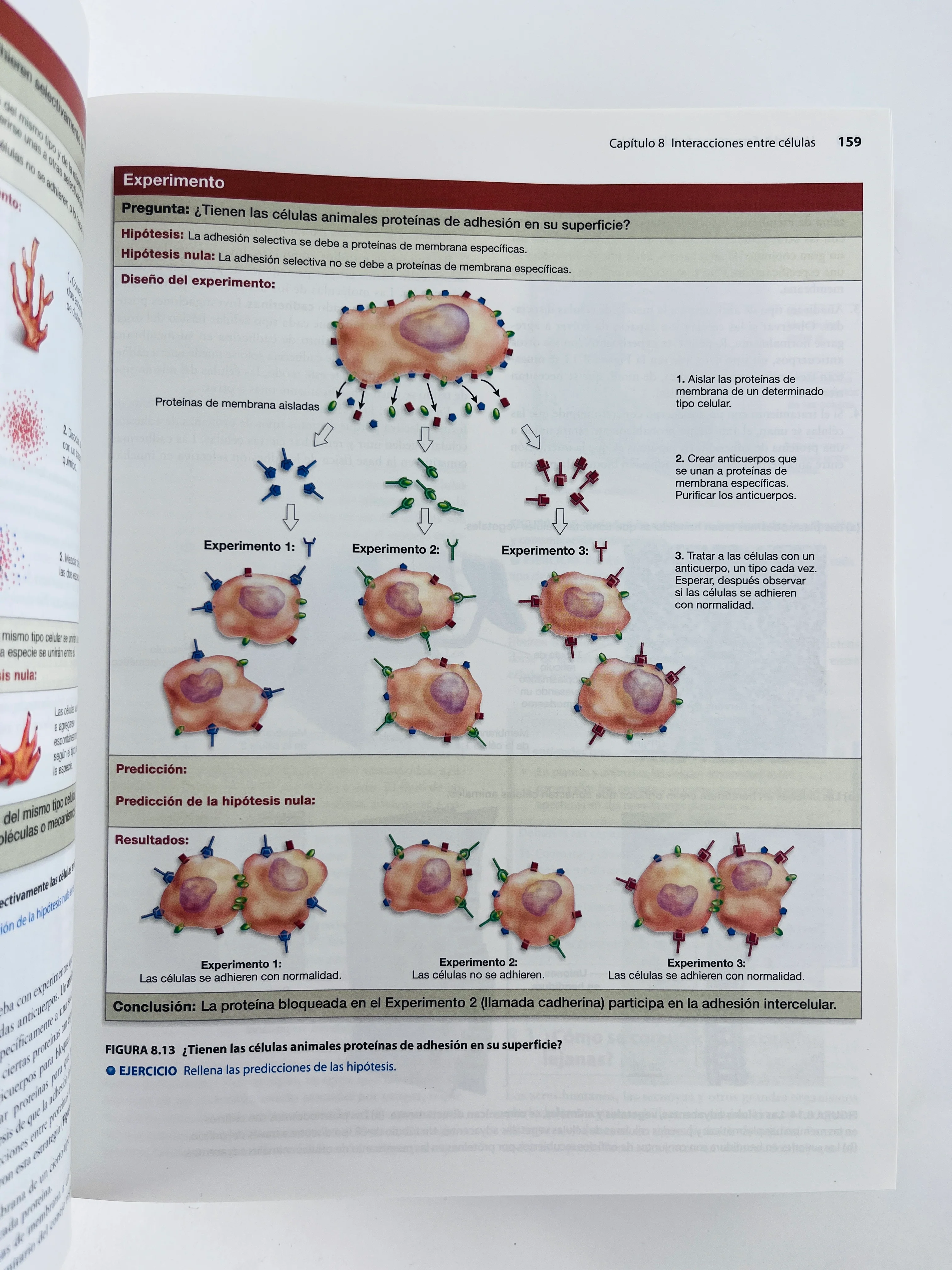 Biología - Image 4