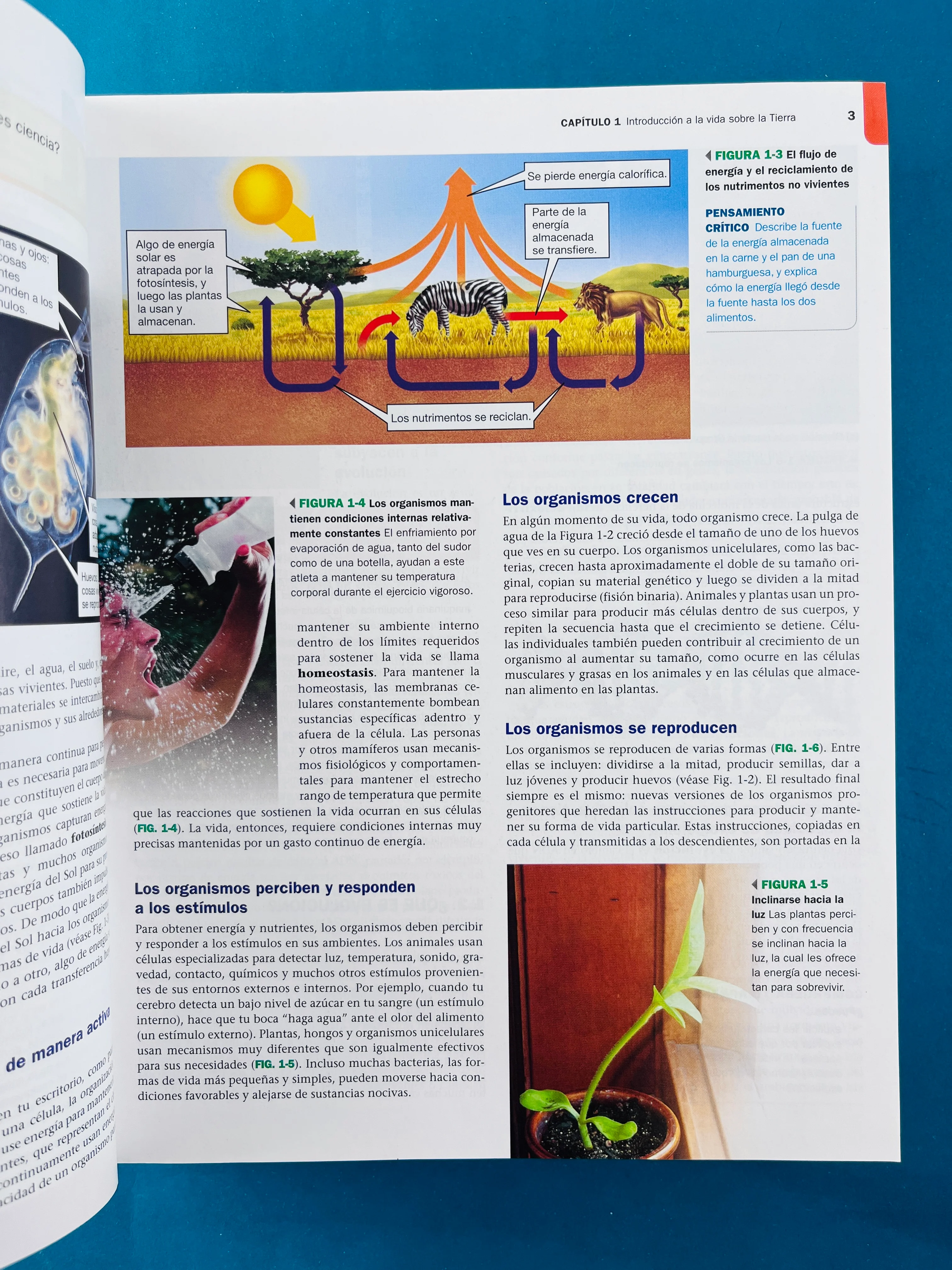 Biología la vida en la tierra con fisiología décima edición - Image 3