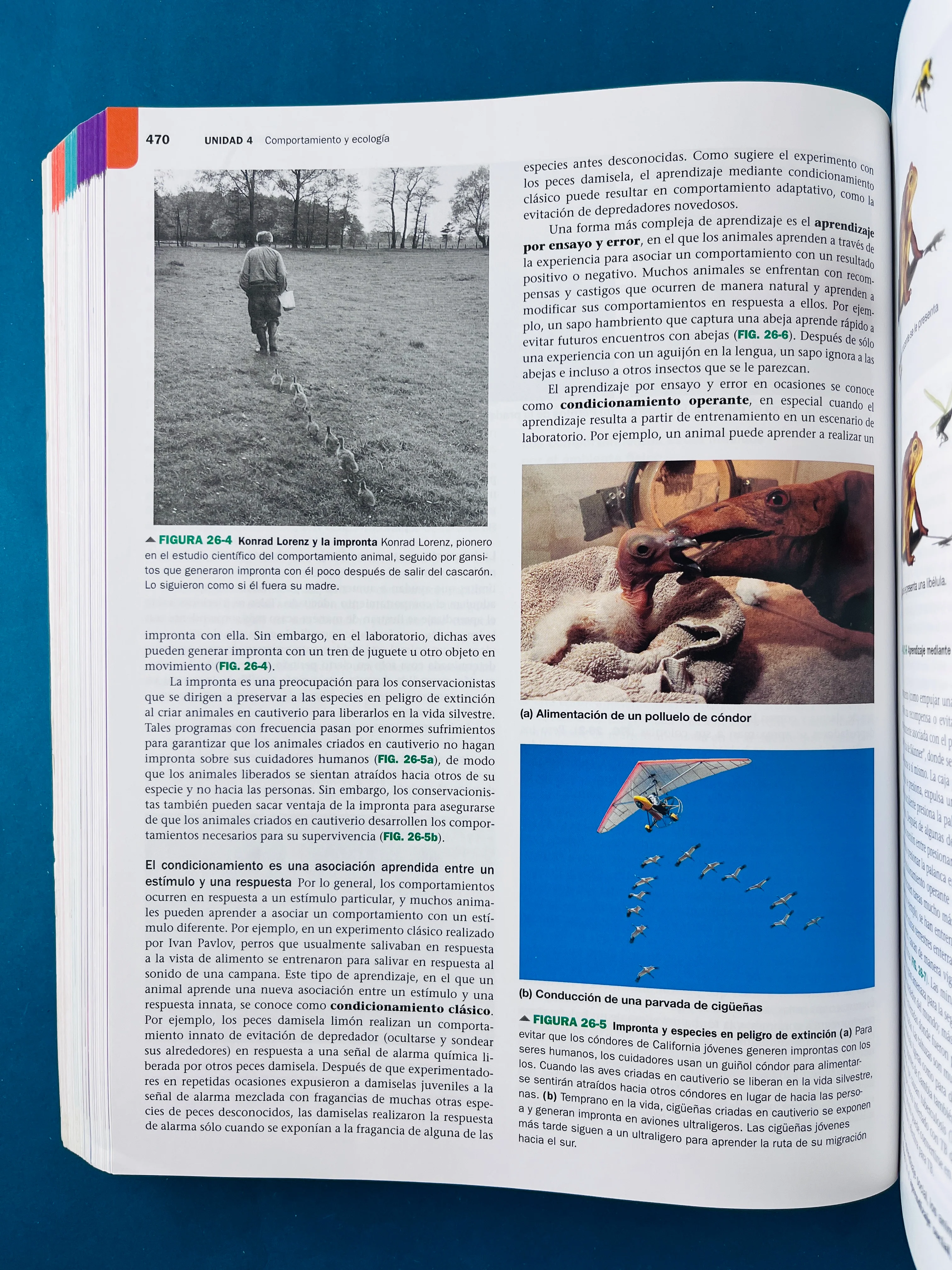 Biología la vida en la tierra con fisiología décima edición - Image 5