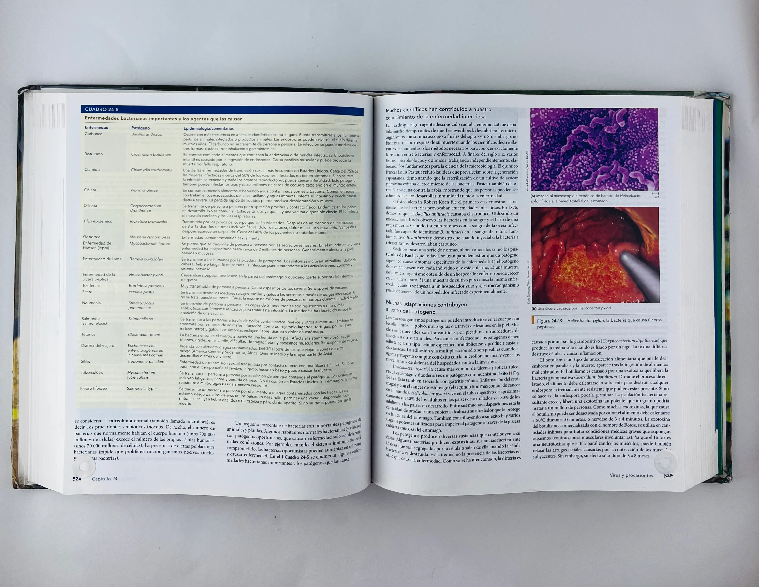 Biologia octava edicíón - Image 3