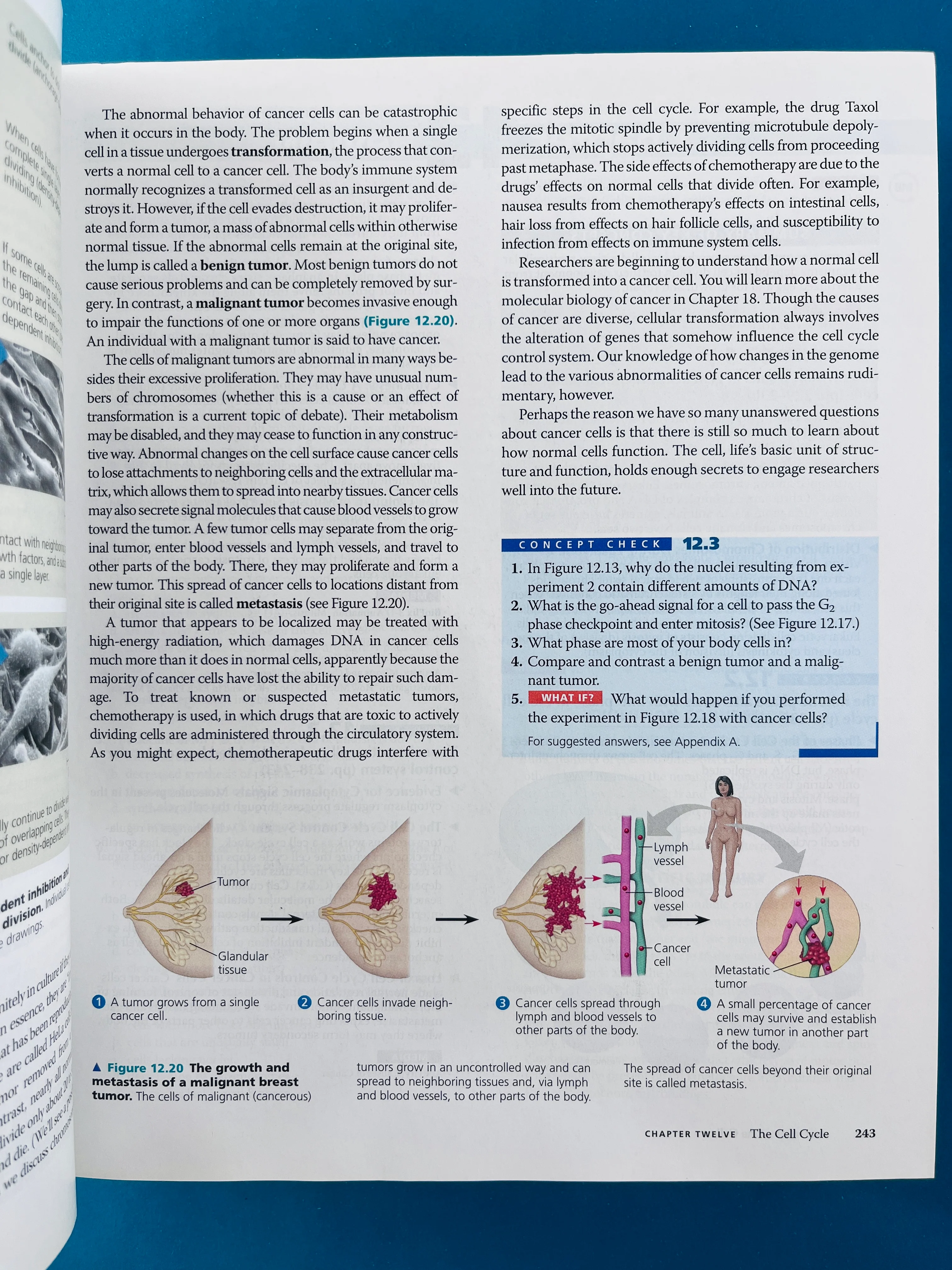 Biology eighth edition - Image 3