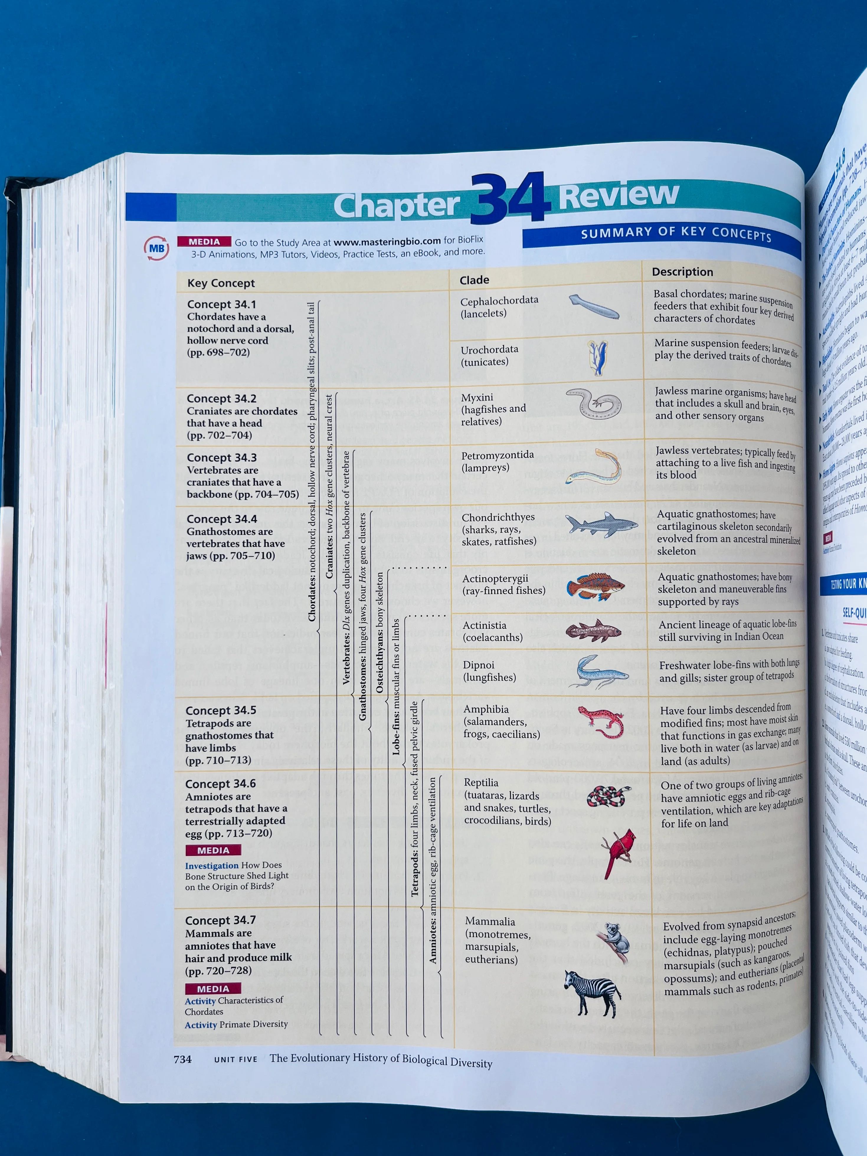 Biology eighth edition - Image 5