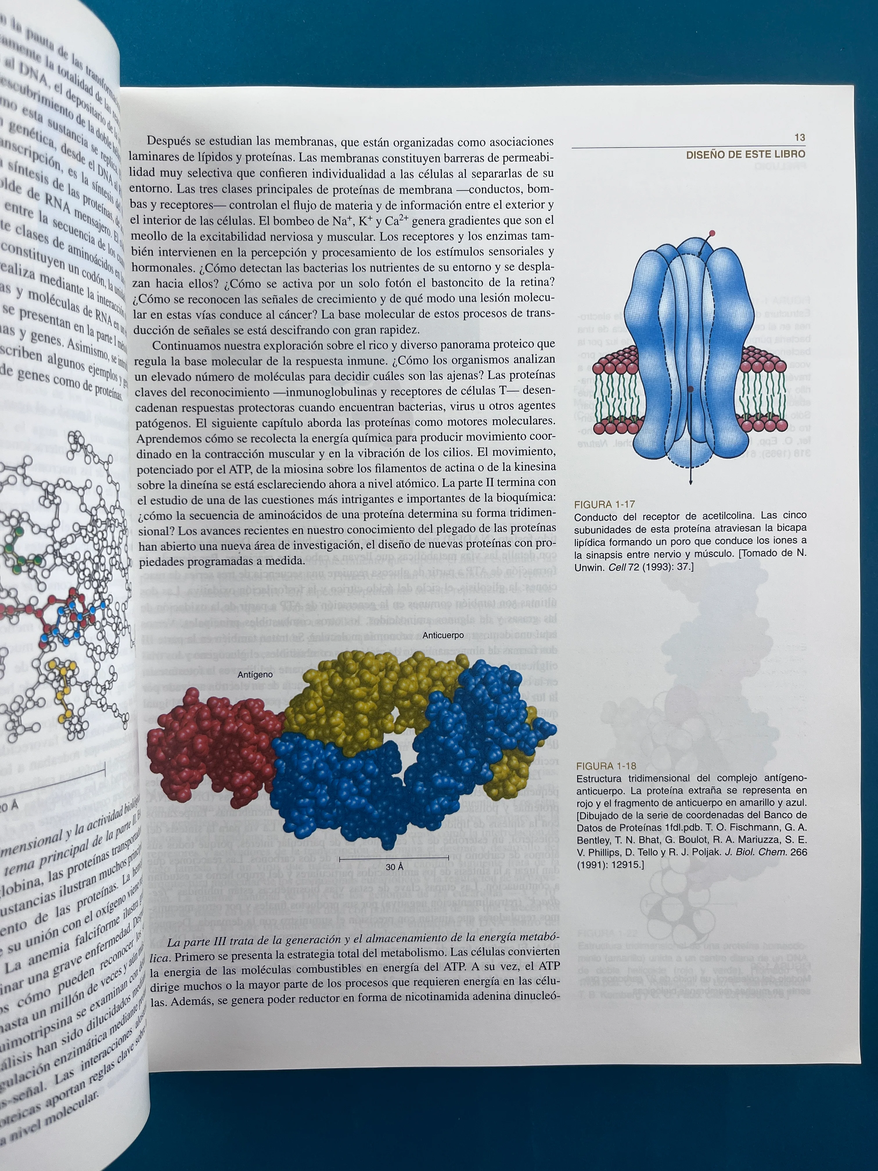 Bioquímica dos tomos cuarta edición - Image 3