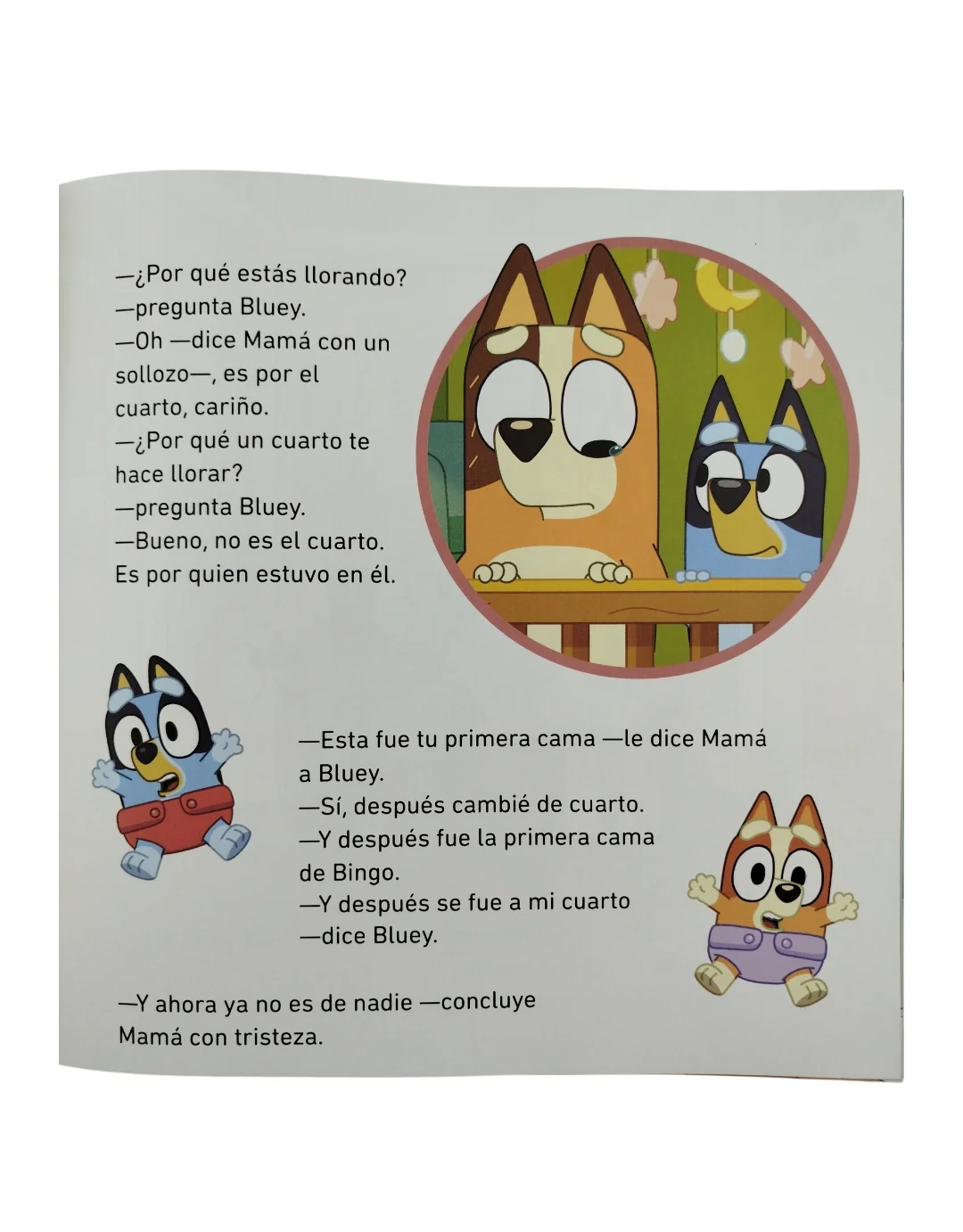 Bluey El Cuarto - Image 3