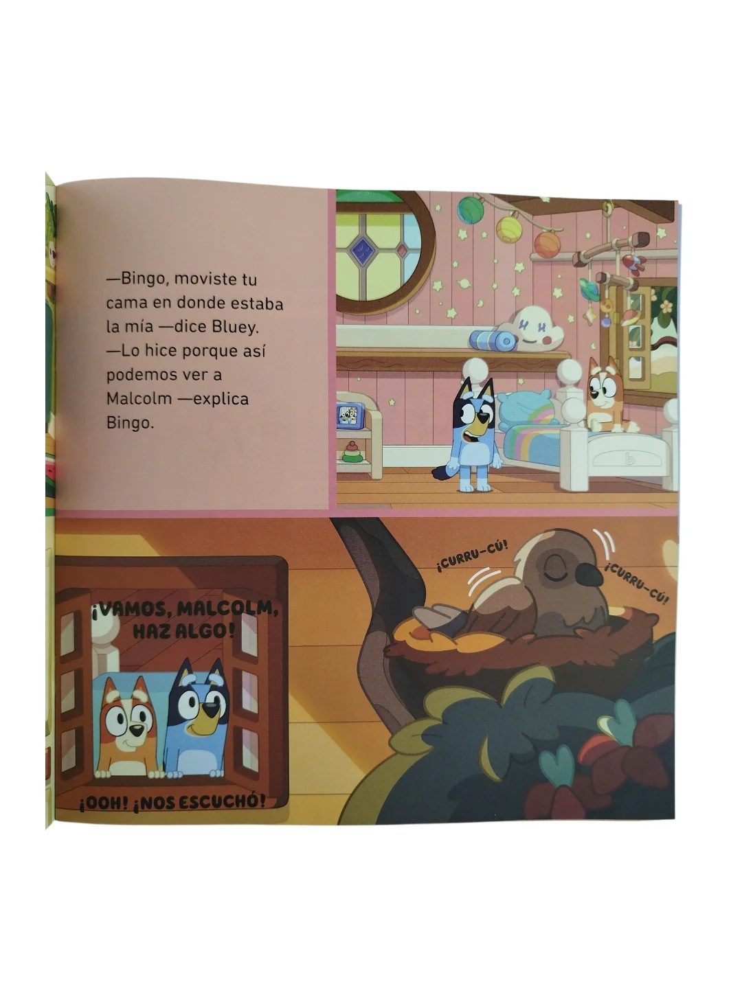 Bluey El Cuarto - Image 4