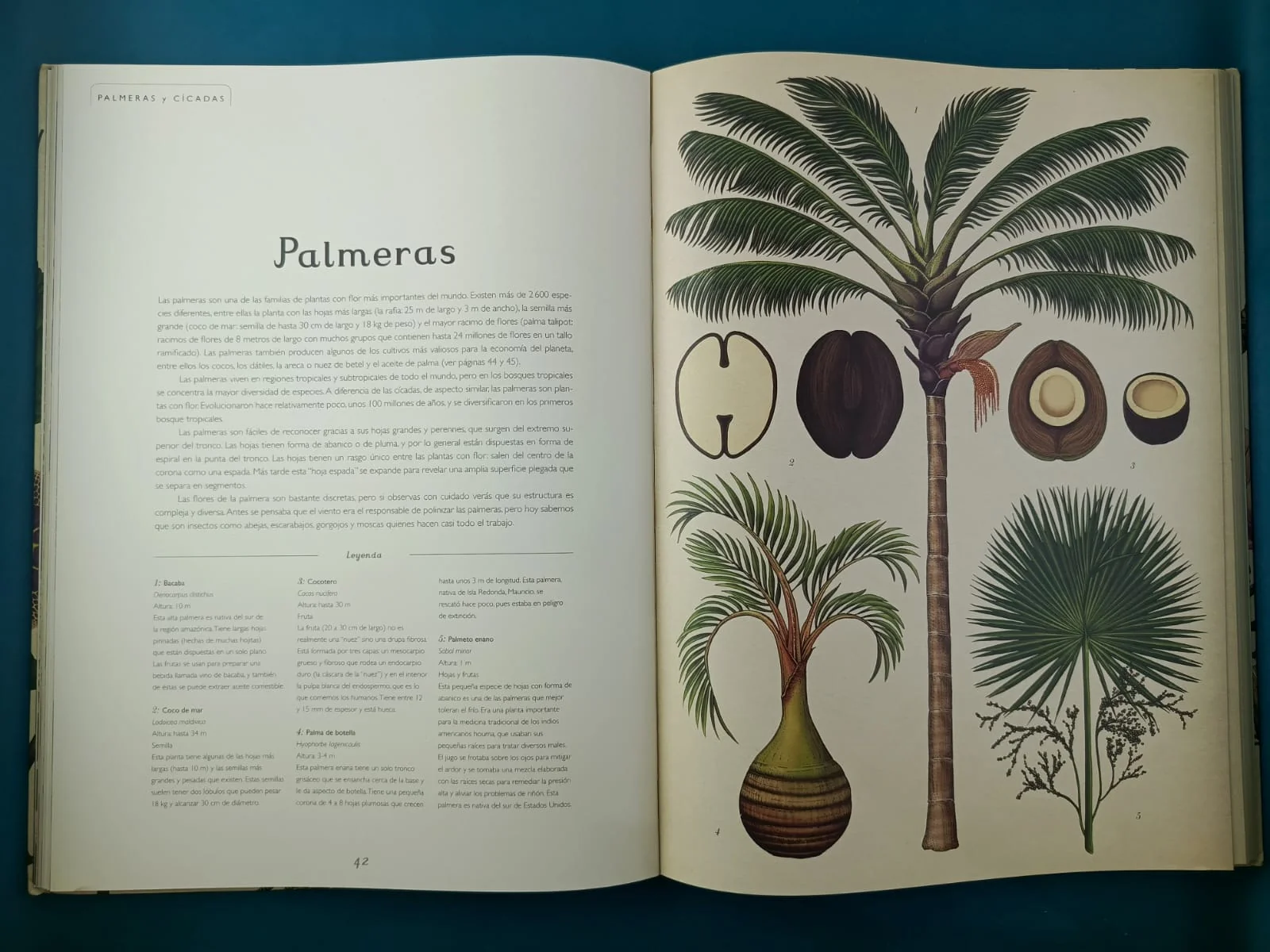 Botanicum - Image 3