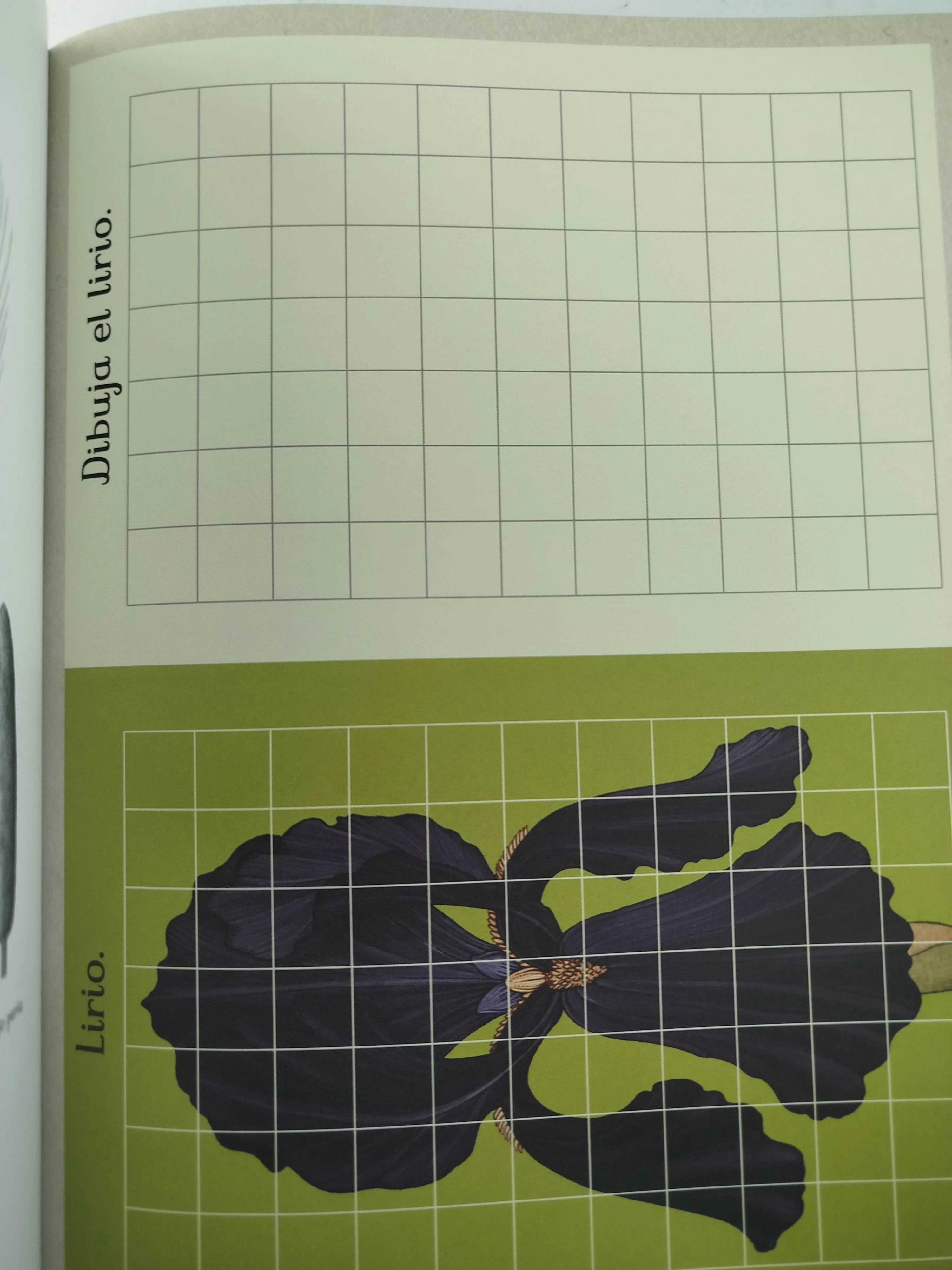 Botanicum Libro De Actividades - Image 2