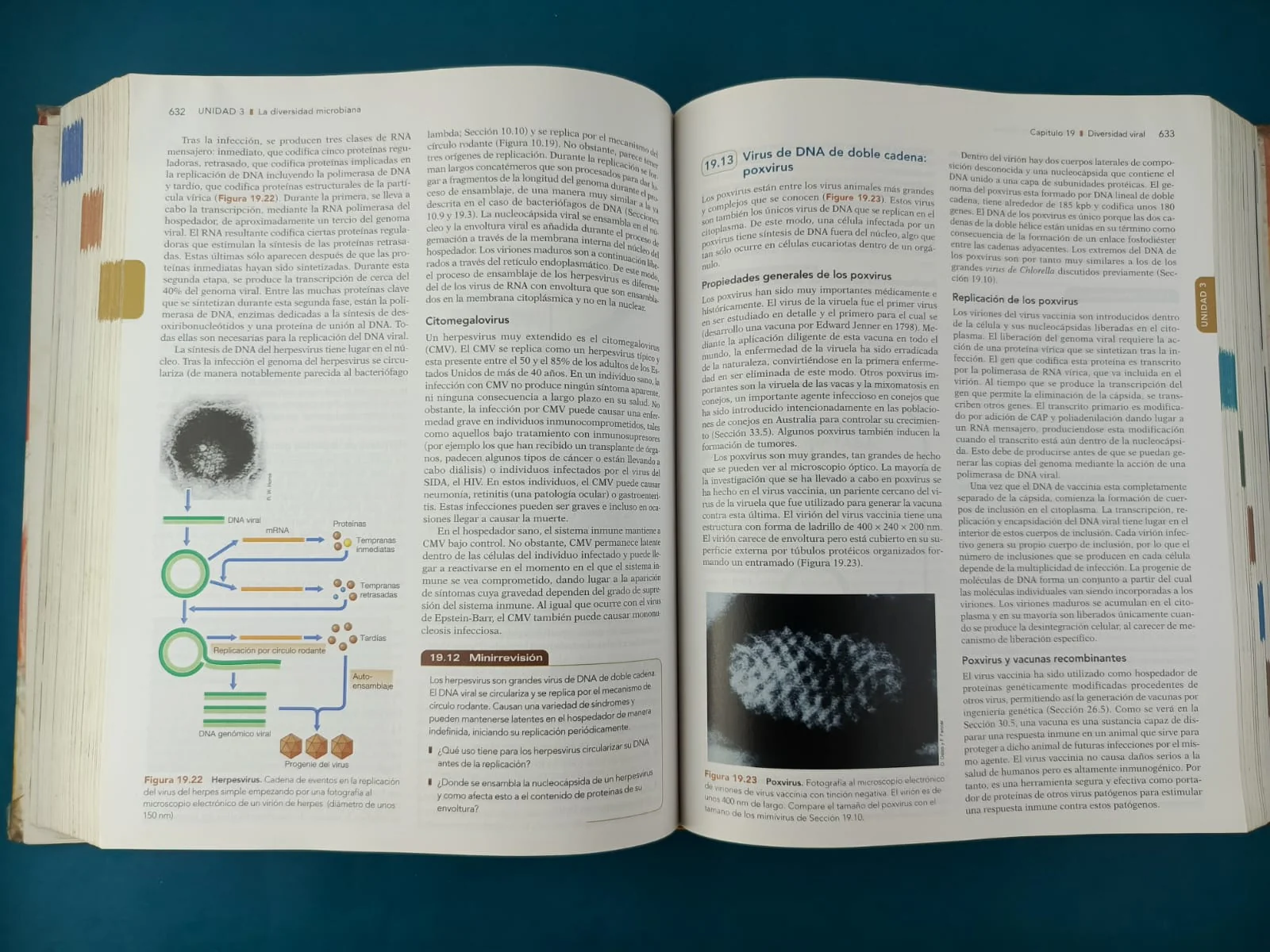 Brock Biologia de los microorganismos 12va Ed - Image 4
