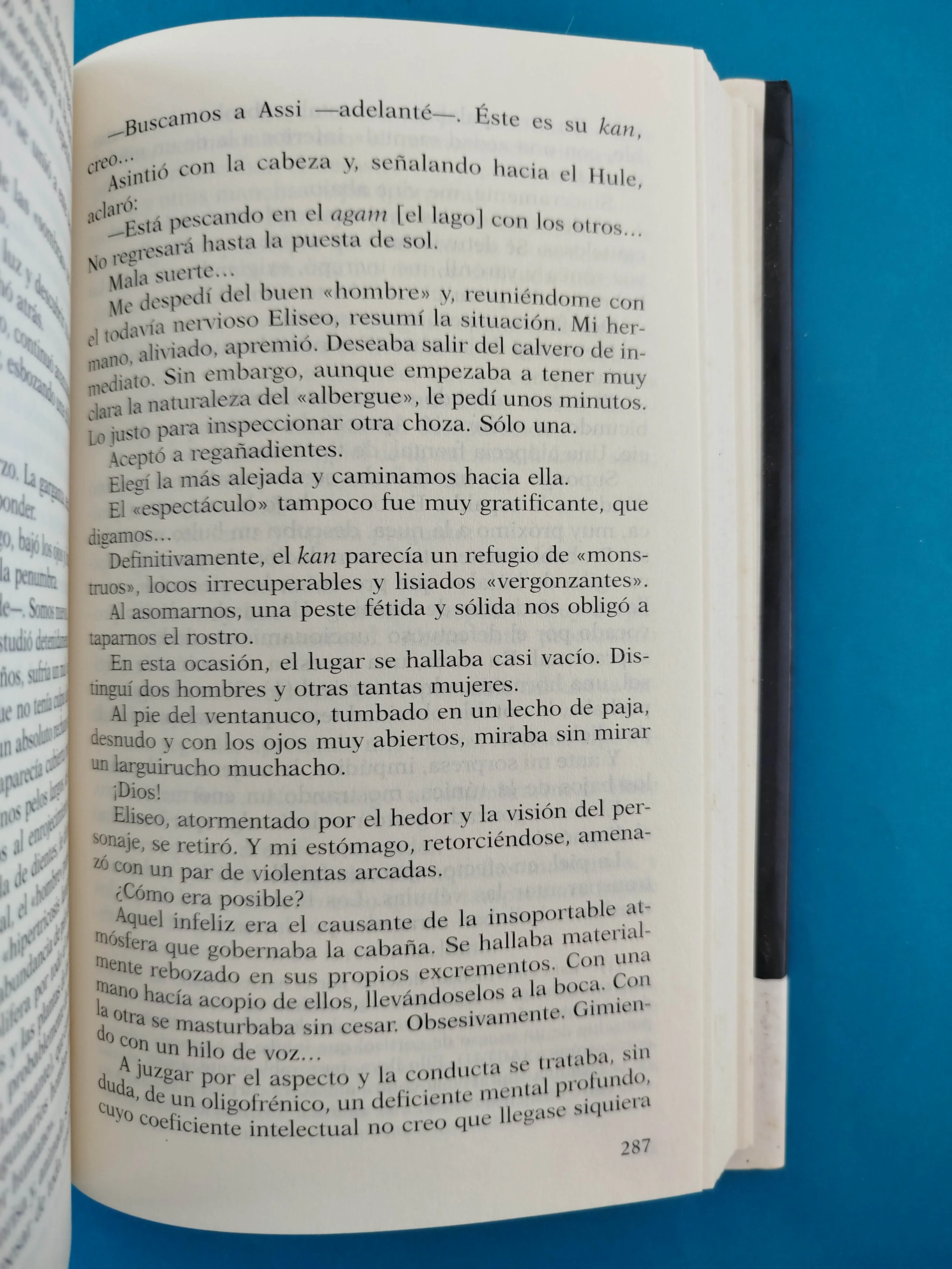 Caballo de Troya 6 - Image 5