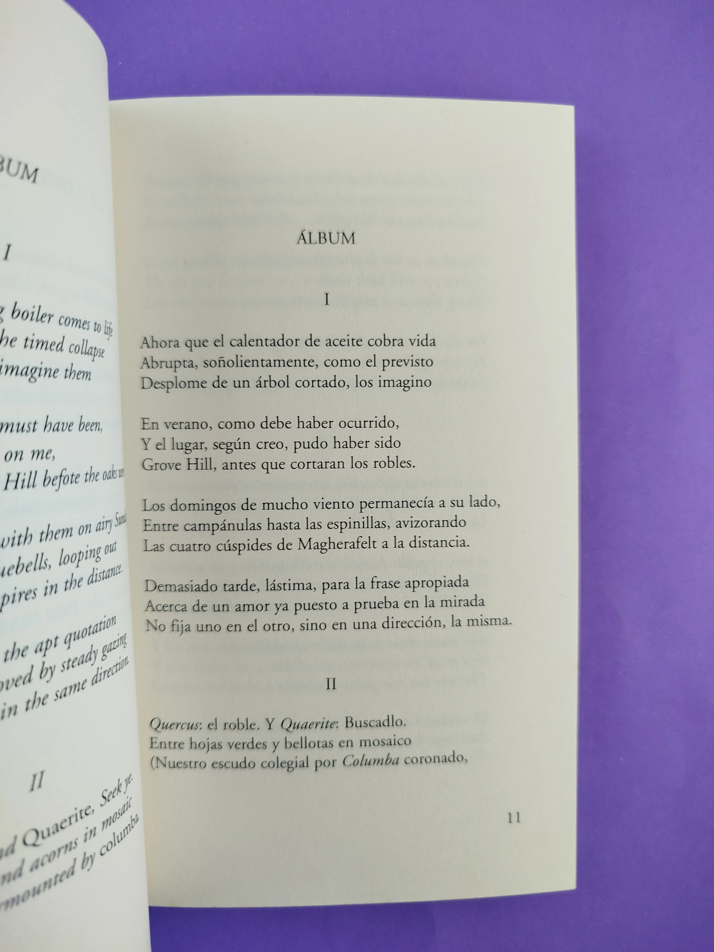 Cadena Humana - Image 2