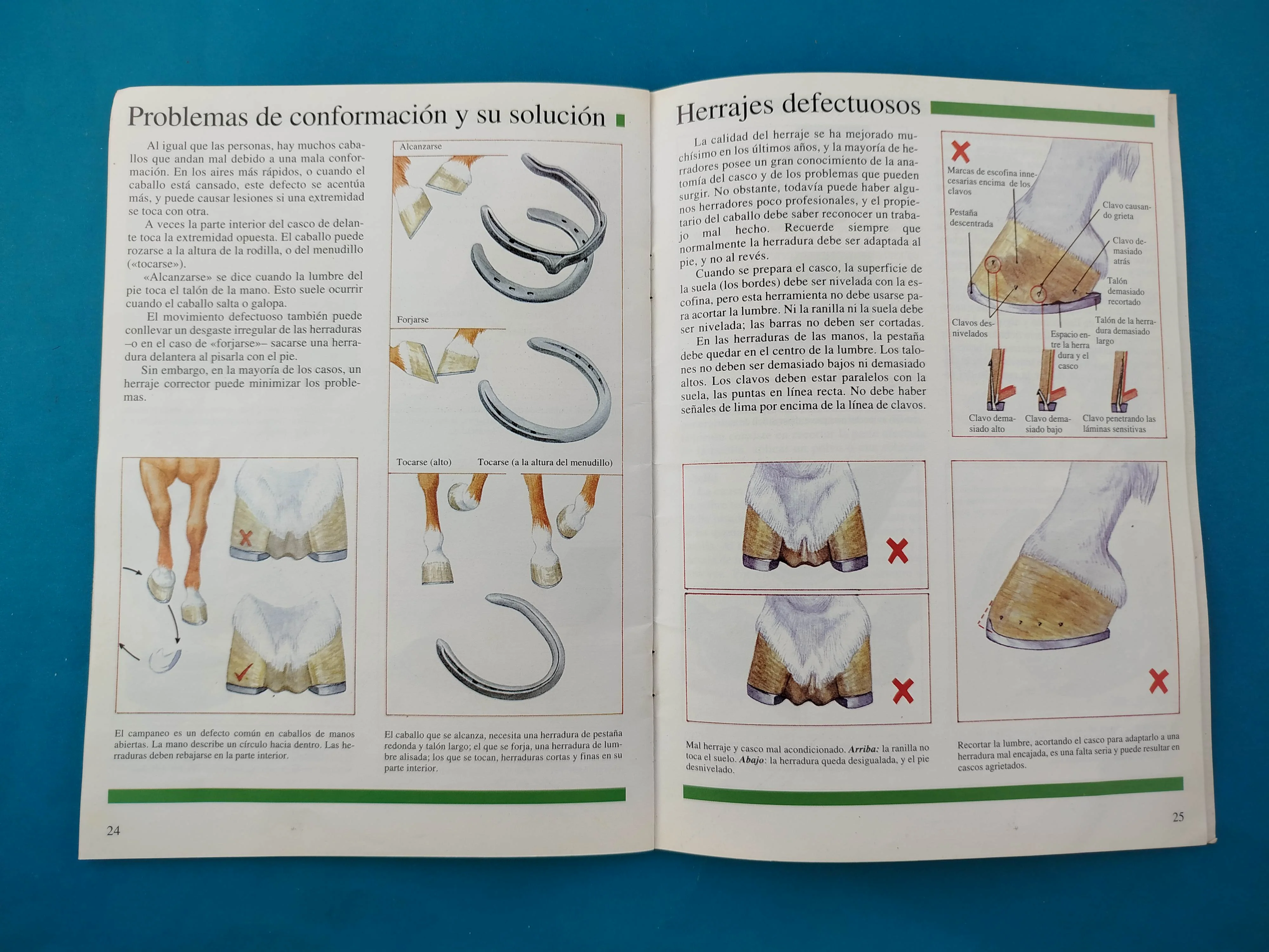 Cascos y Herrajes - Image 2