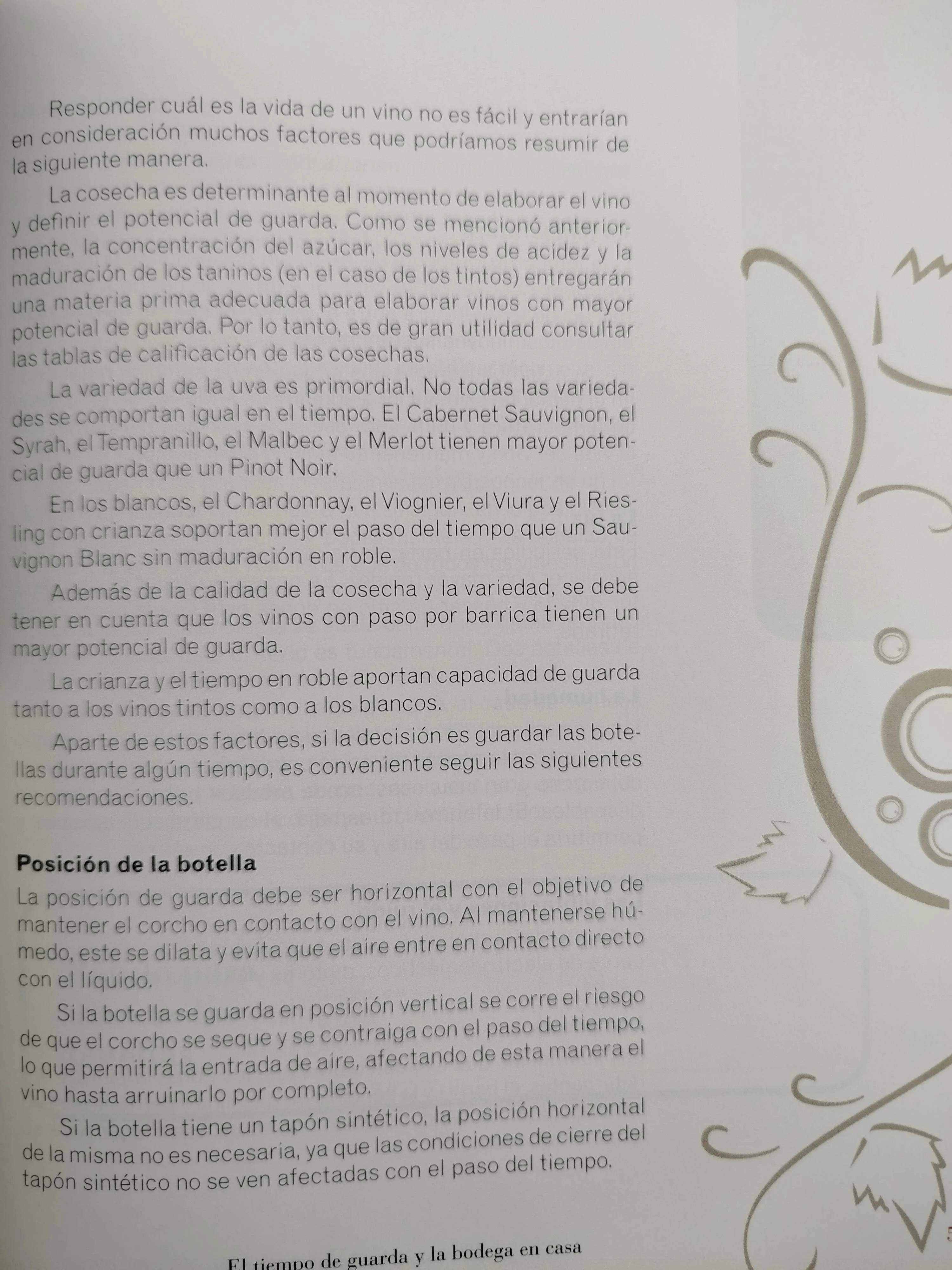Cata De Vinos Paso A Paso - Image 3
