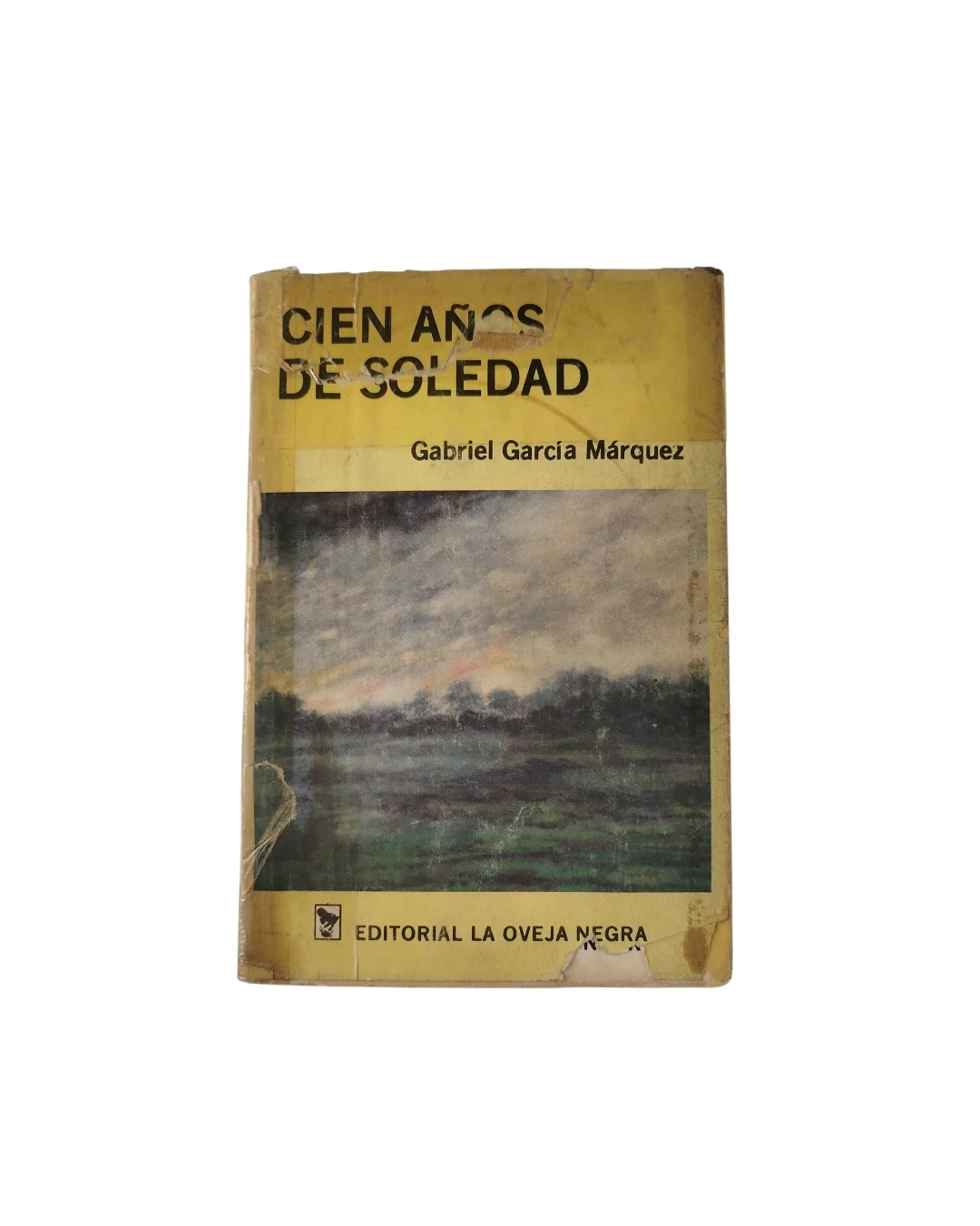 Cien Años de Soledad - Image 2