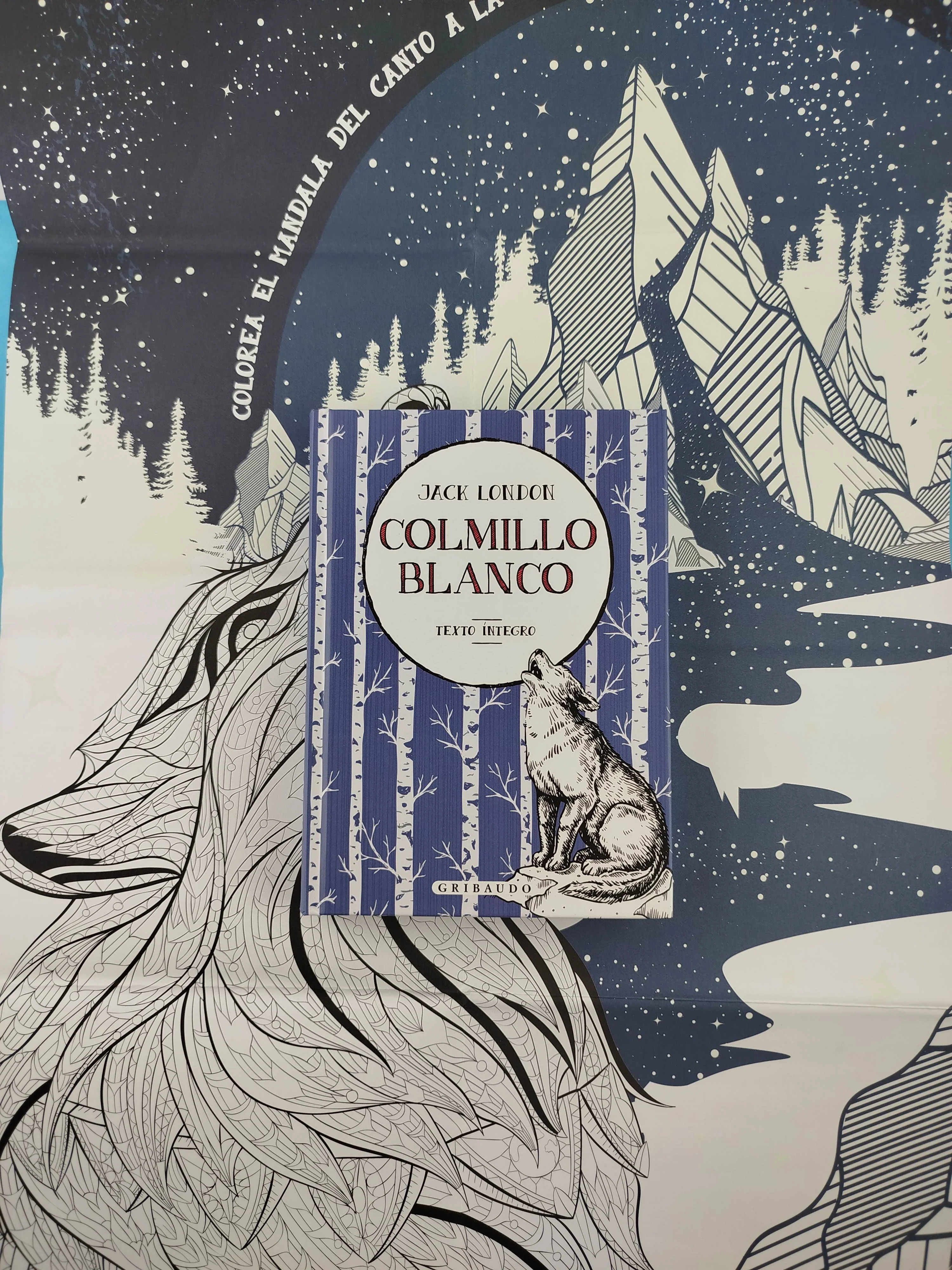 Colmillo blanco - Image 2
