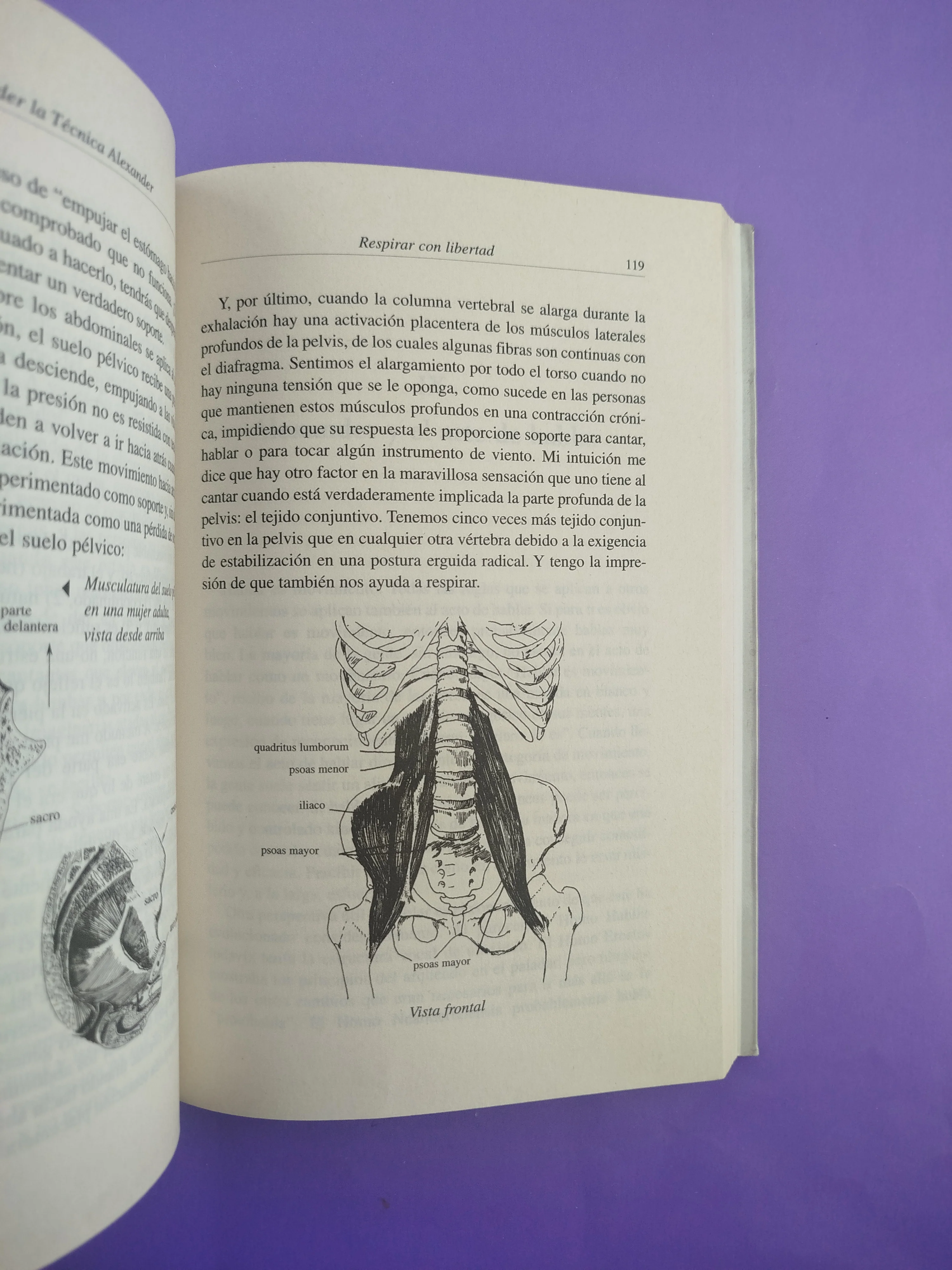 Cómo aprender la técnica Alexander - Image 2