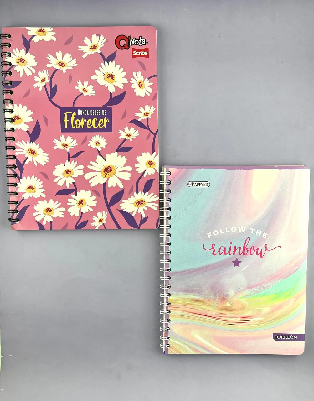 Cuaderno argollado grande 105 Línea corriente económico Mujer - Image 3