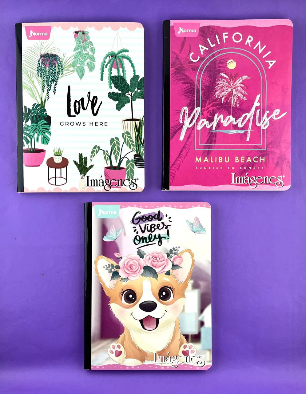 Cuaderno cosido 100 hojas doble línea gama baja Niña - Image 3