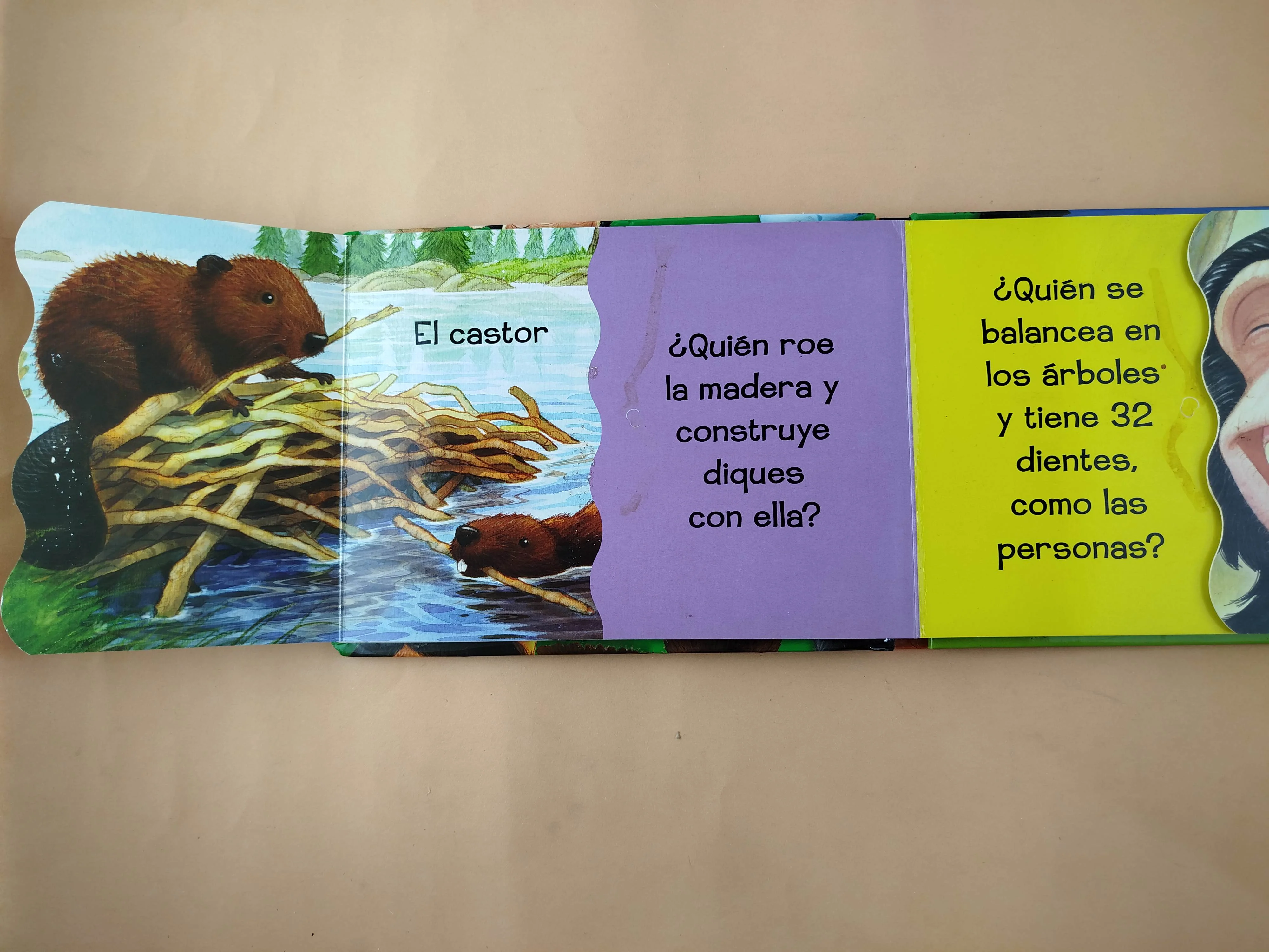 ¿De quién son estos dientes? - Image 4
