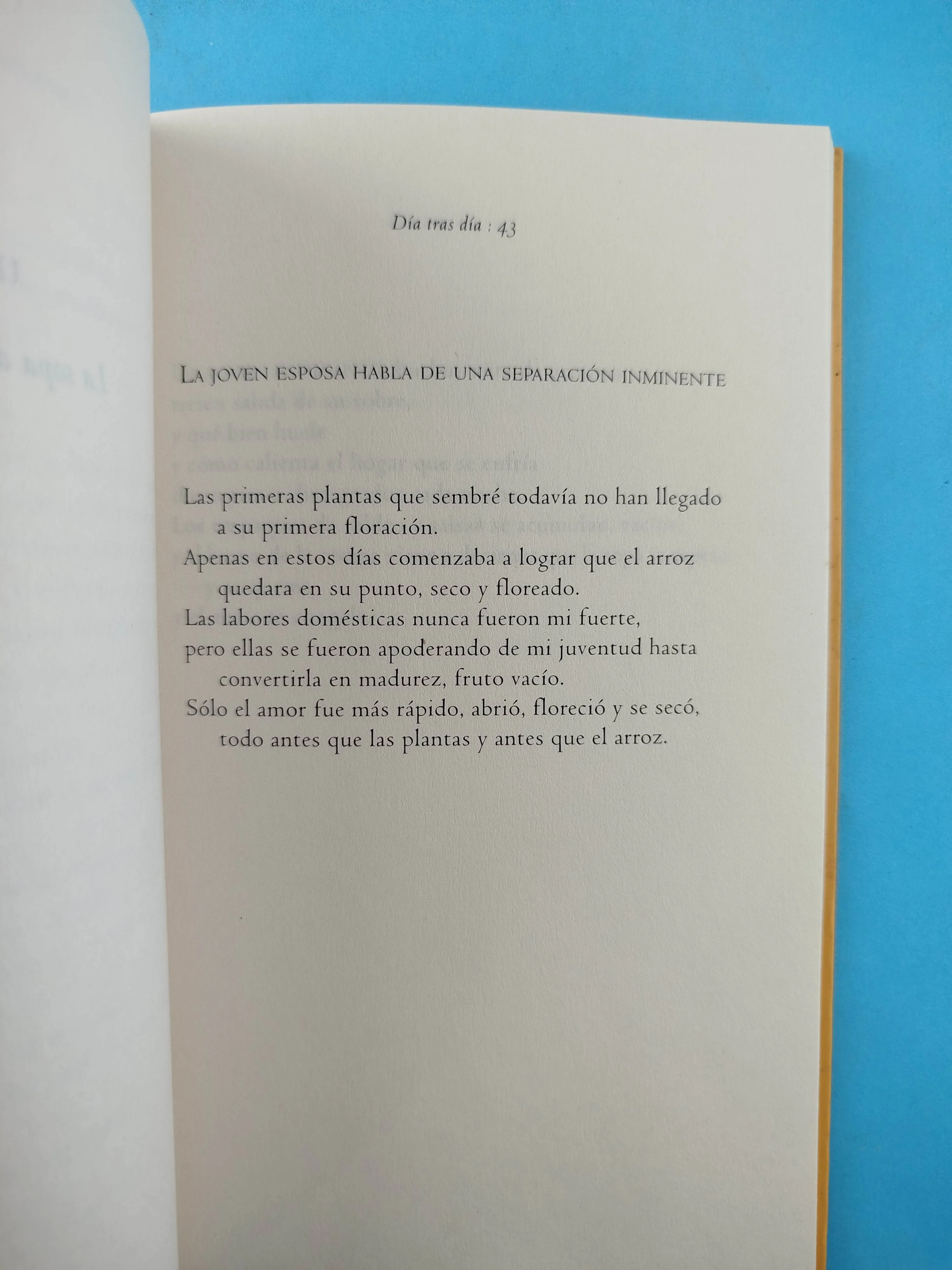 Día tras día - Image 2