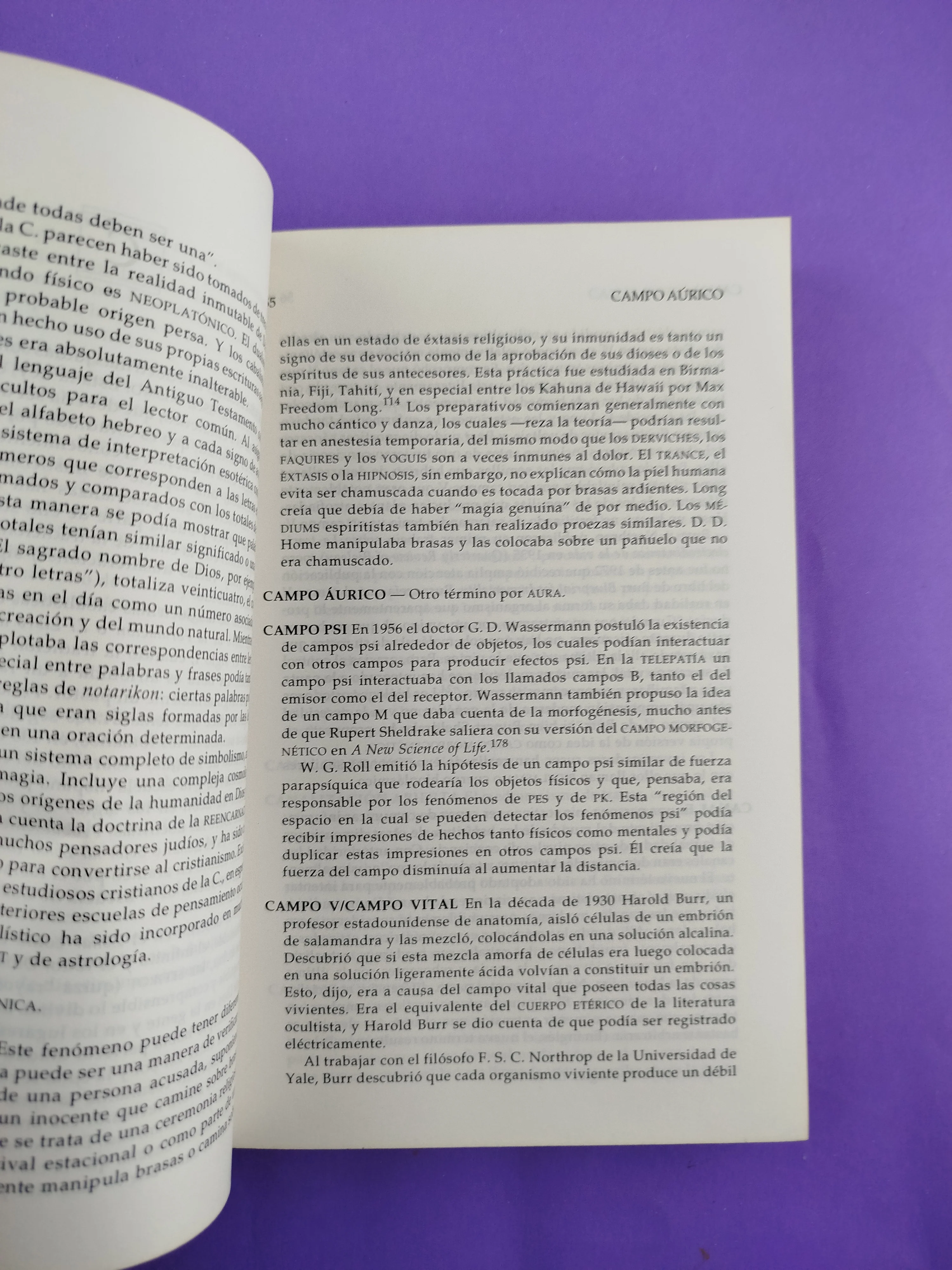 Diccionario de la Mente y El Espíritu - Image 2