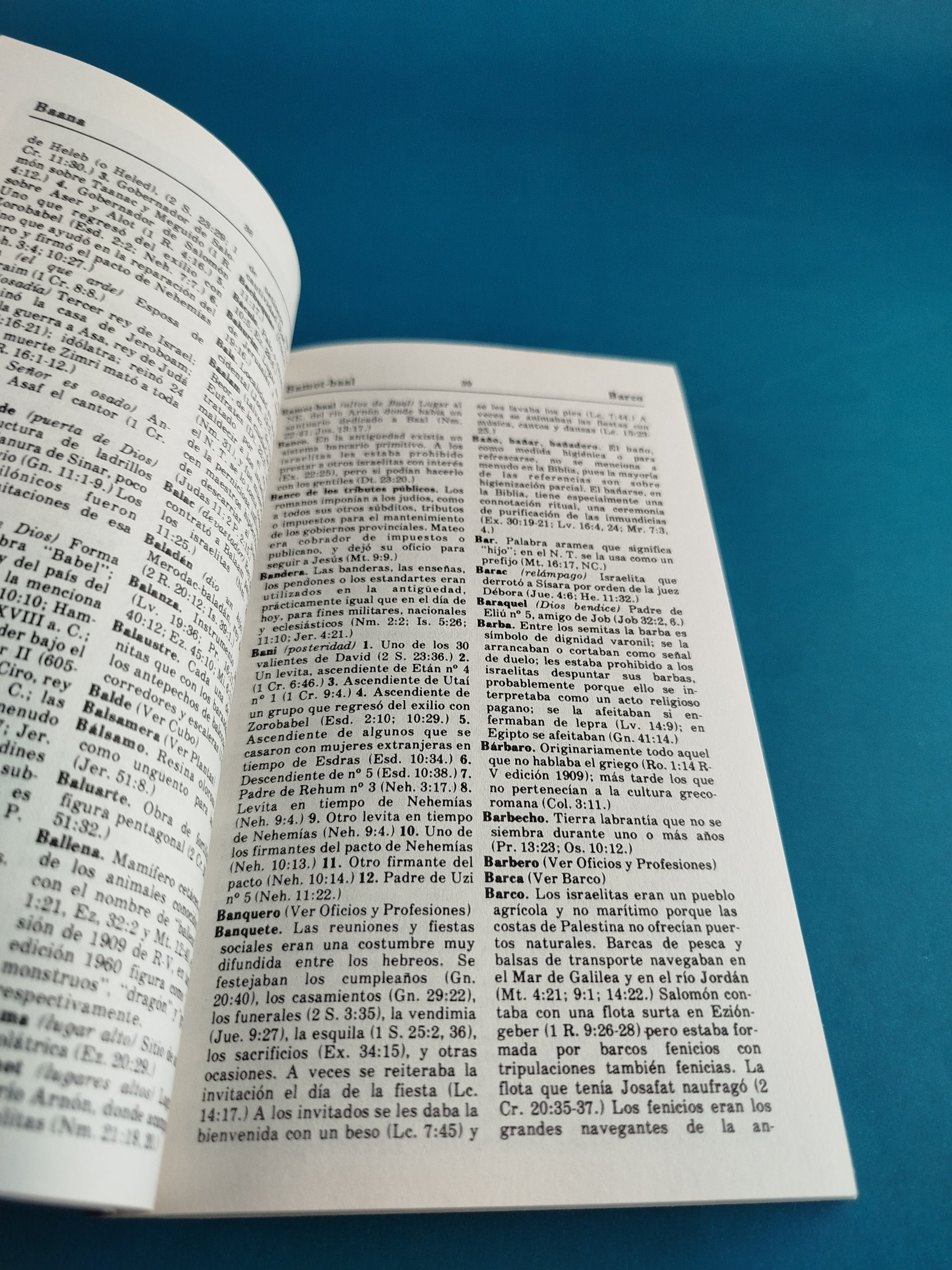 Diccionario manual de la biblia - Image 4