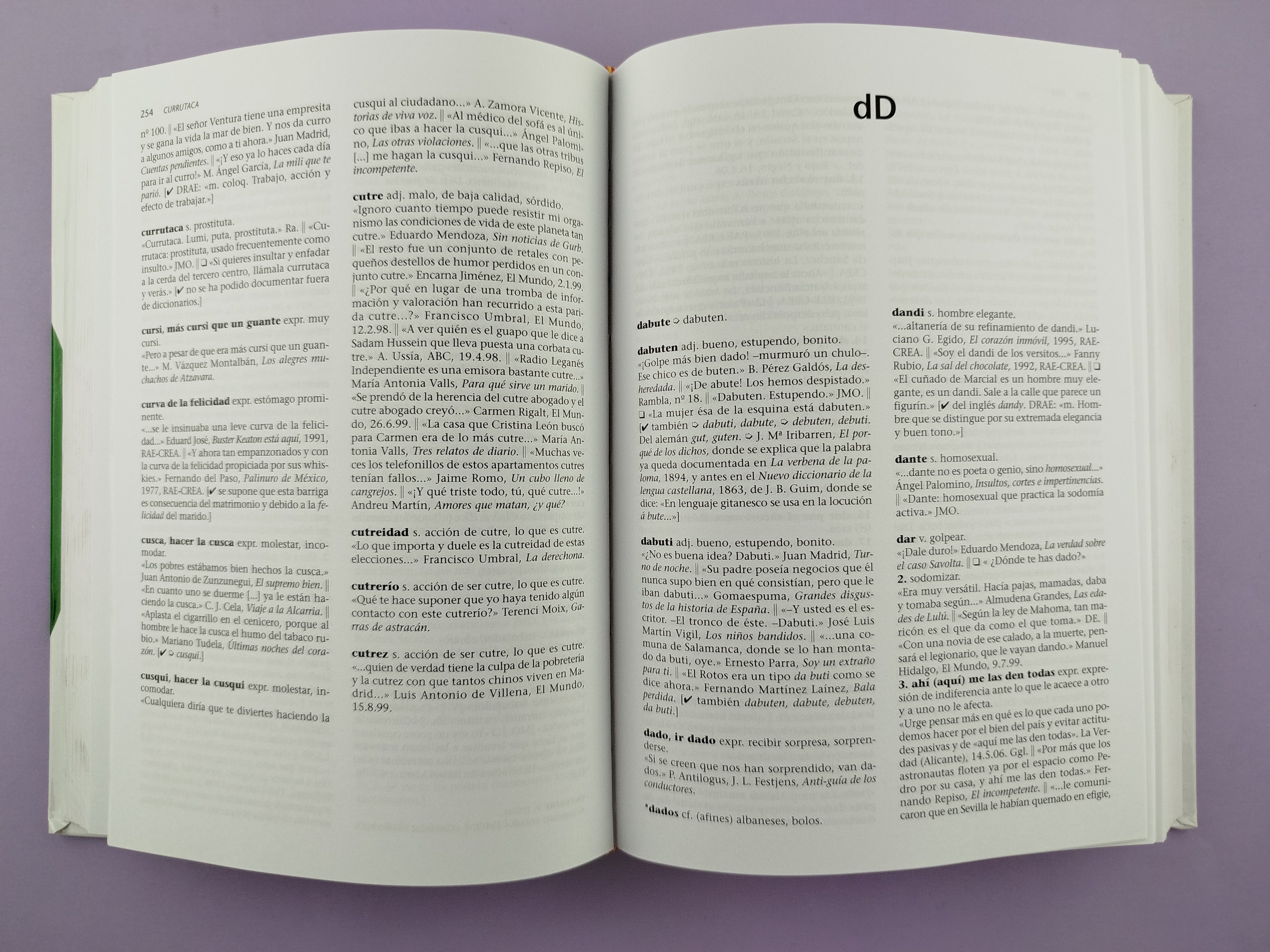 Diccionario sohez del español cotidiano (2ª edición) - Image 3