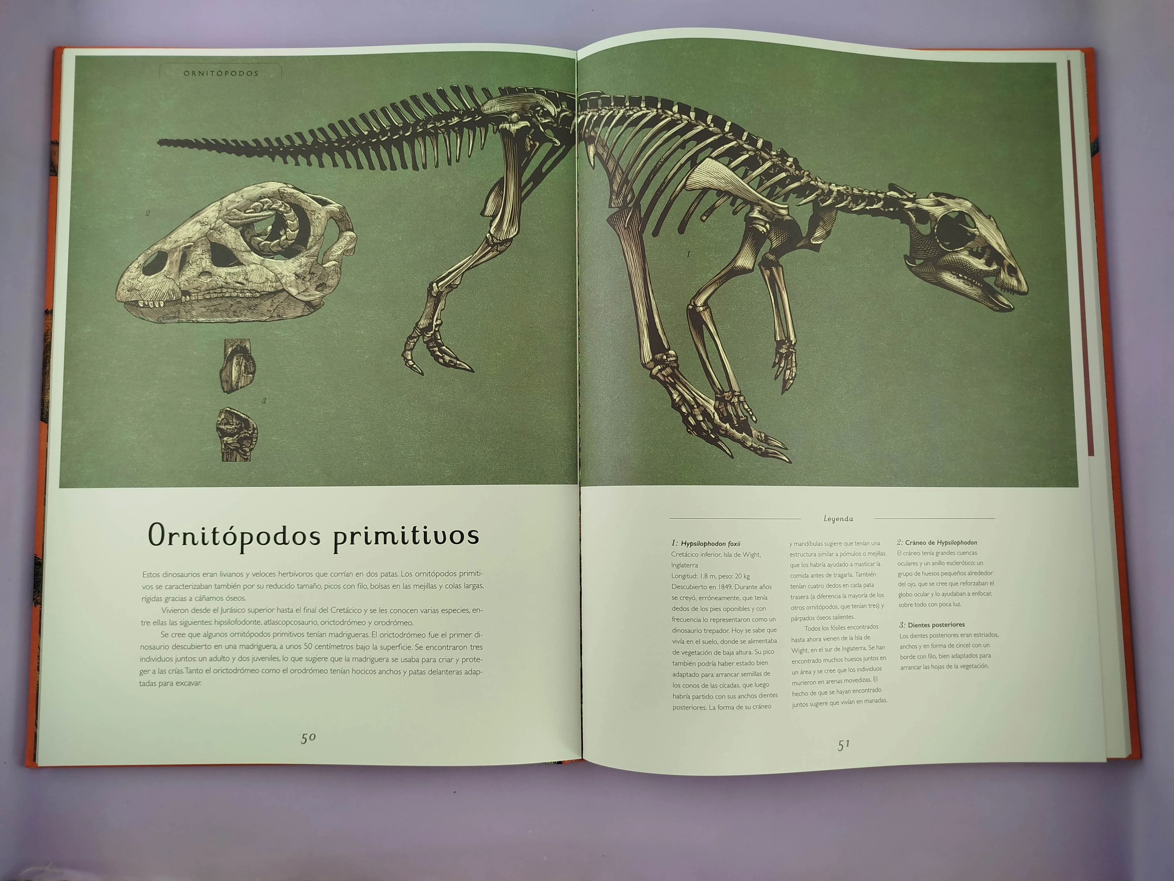 Dinosaurium - Image 3