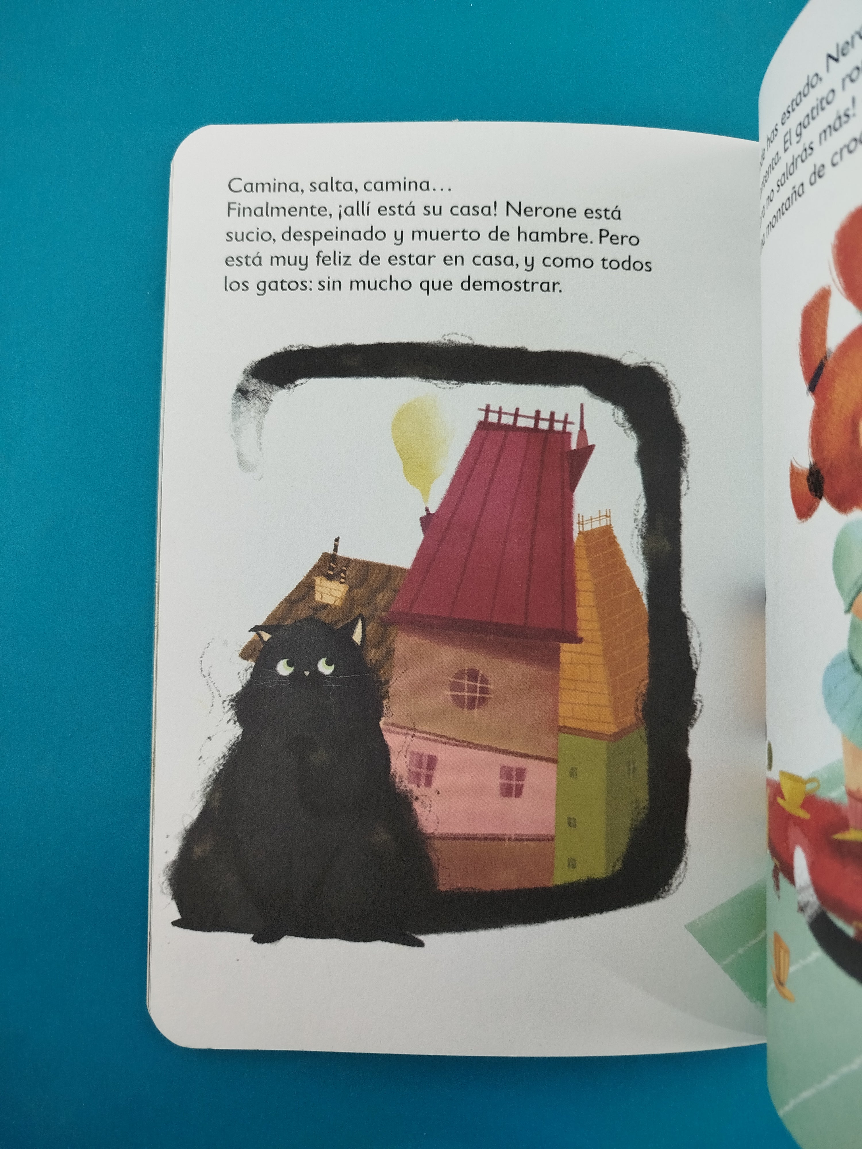 ¿Dónde es la casa del gato Nerone? - Image 2