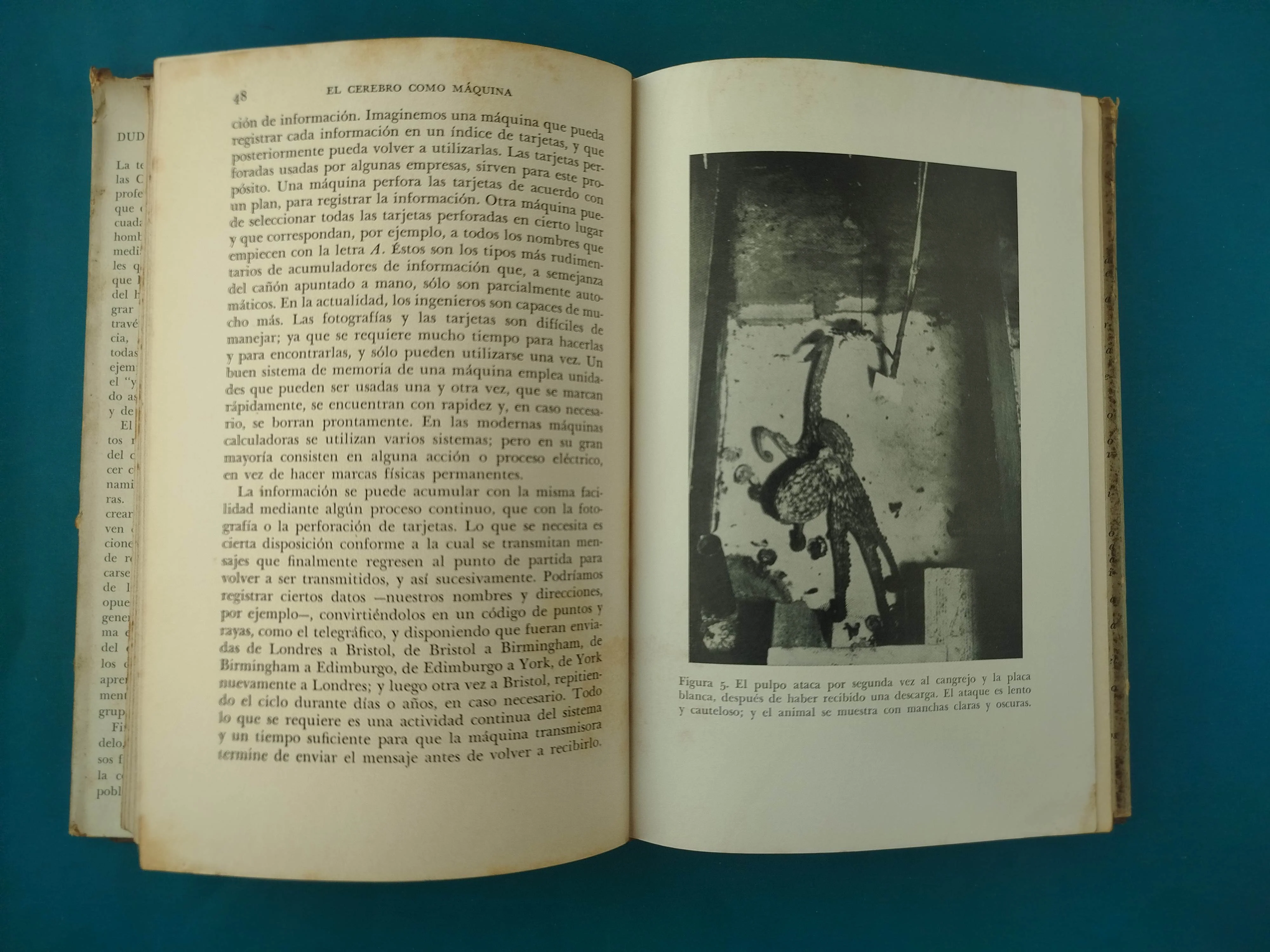 Duda Y Certeza En La Ciencia - Image 3