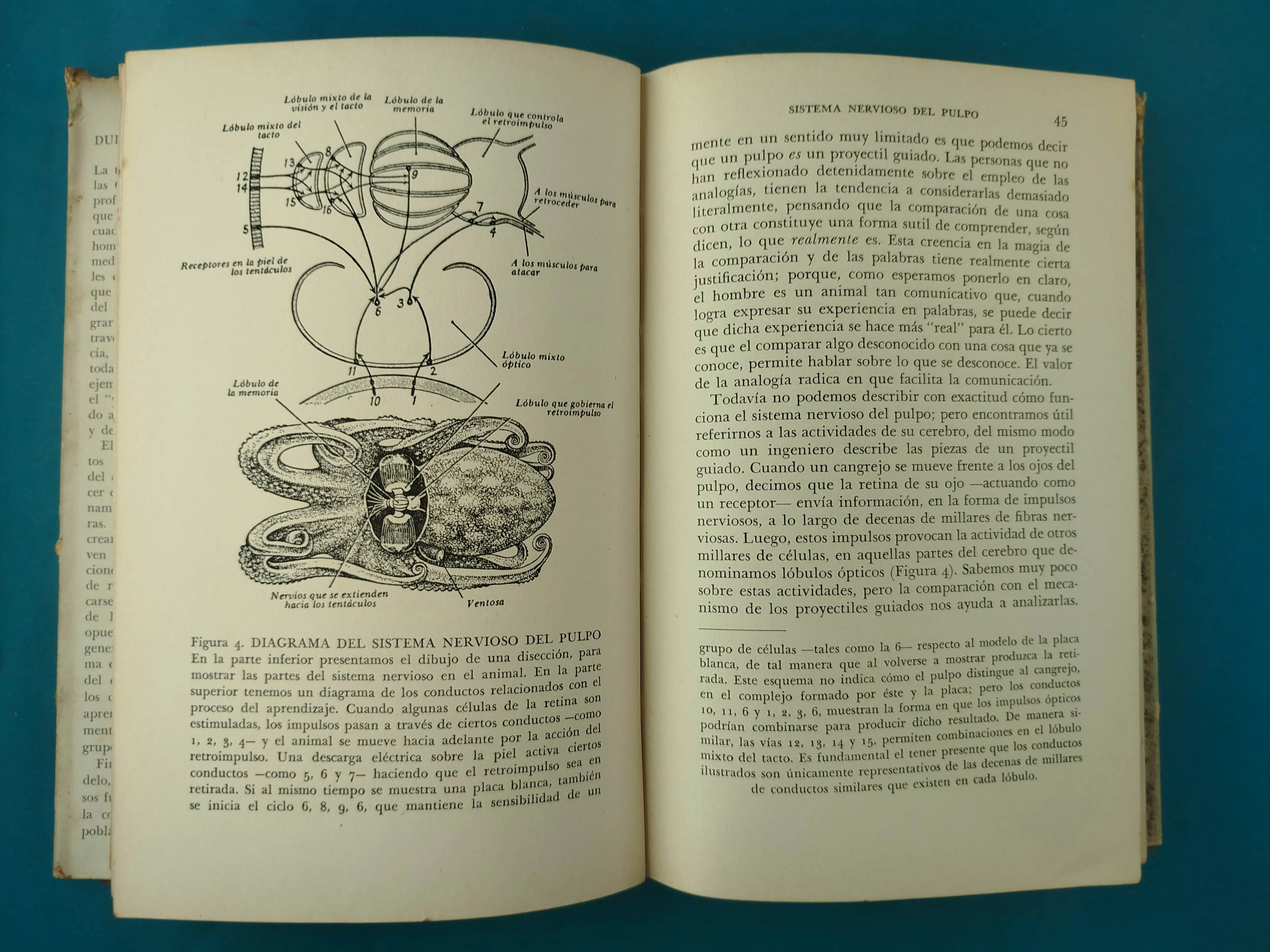 Duda Y Certeza En La Ciencia - Image 4
