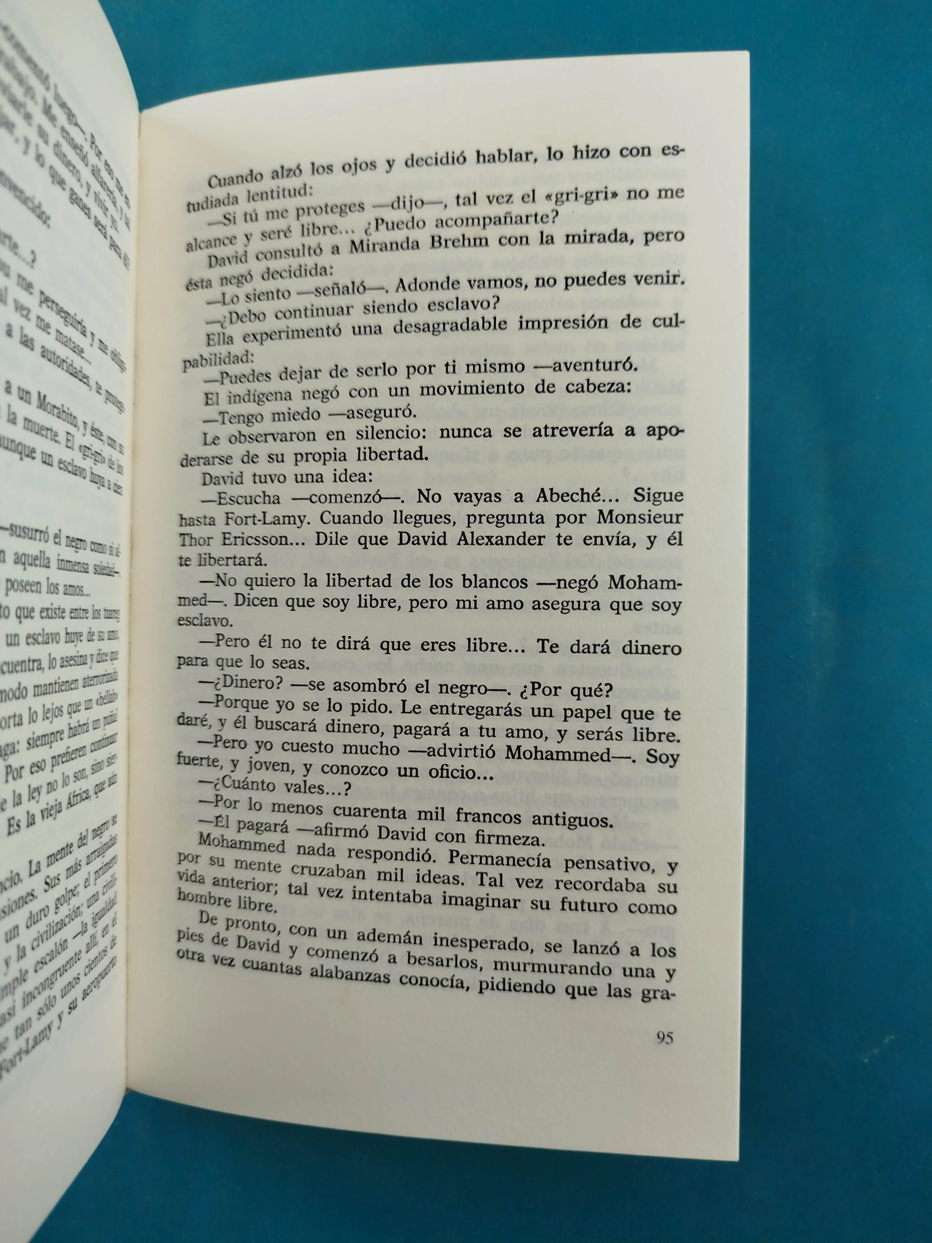 Ébano - Image 4