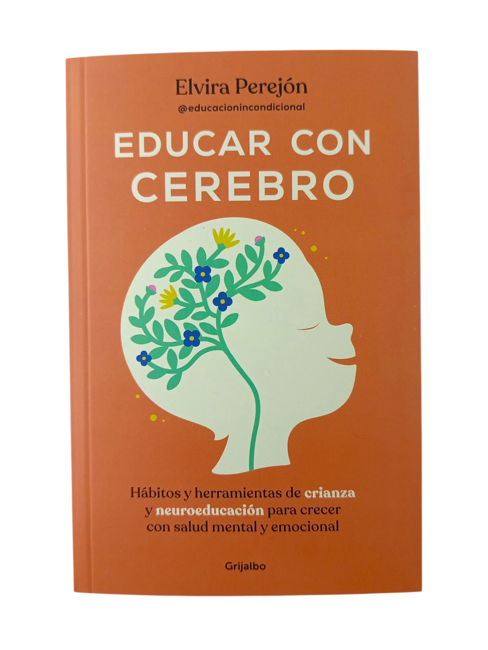 Educar con cerebro