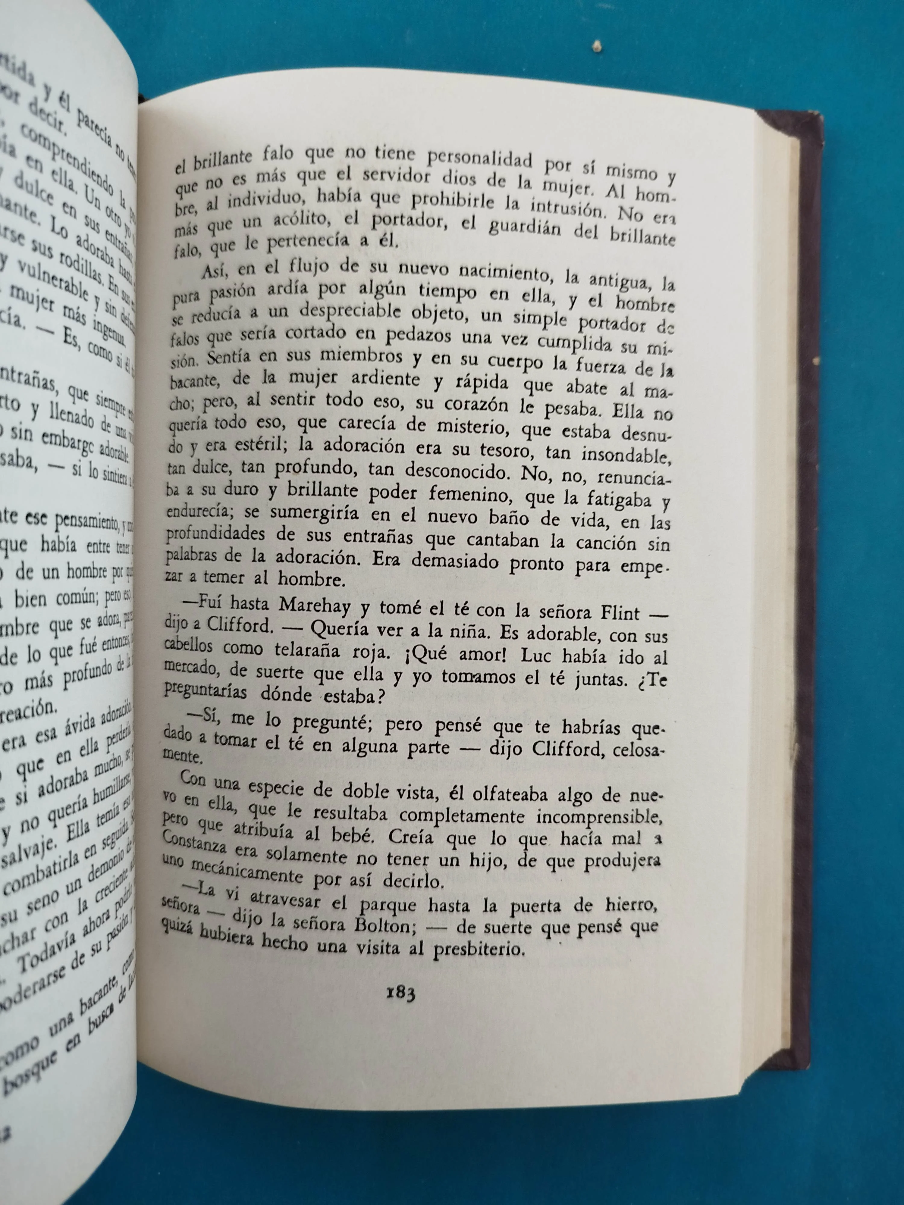 El amante de Lady Chatterley - Image 4