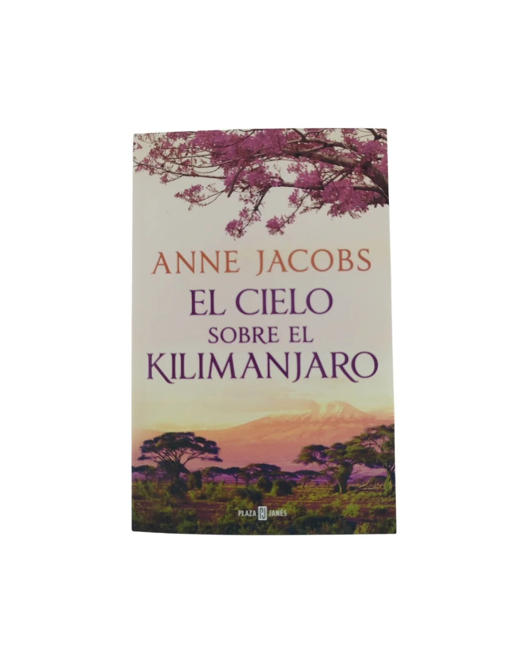 El cielo sobre el kilimanjaro