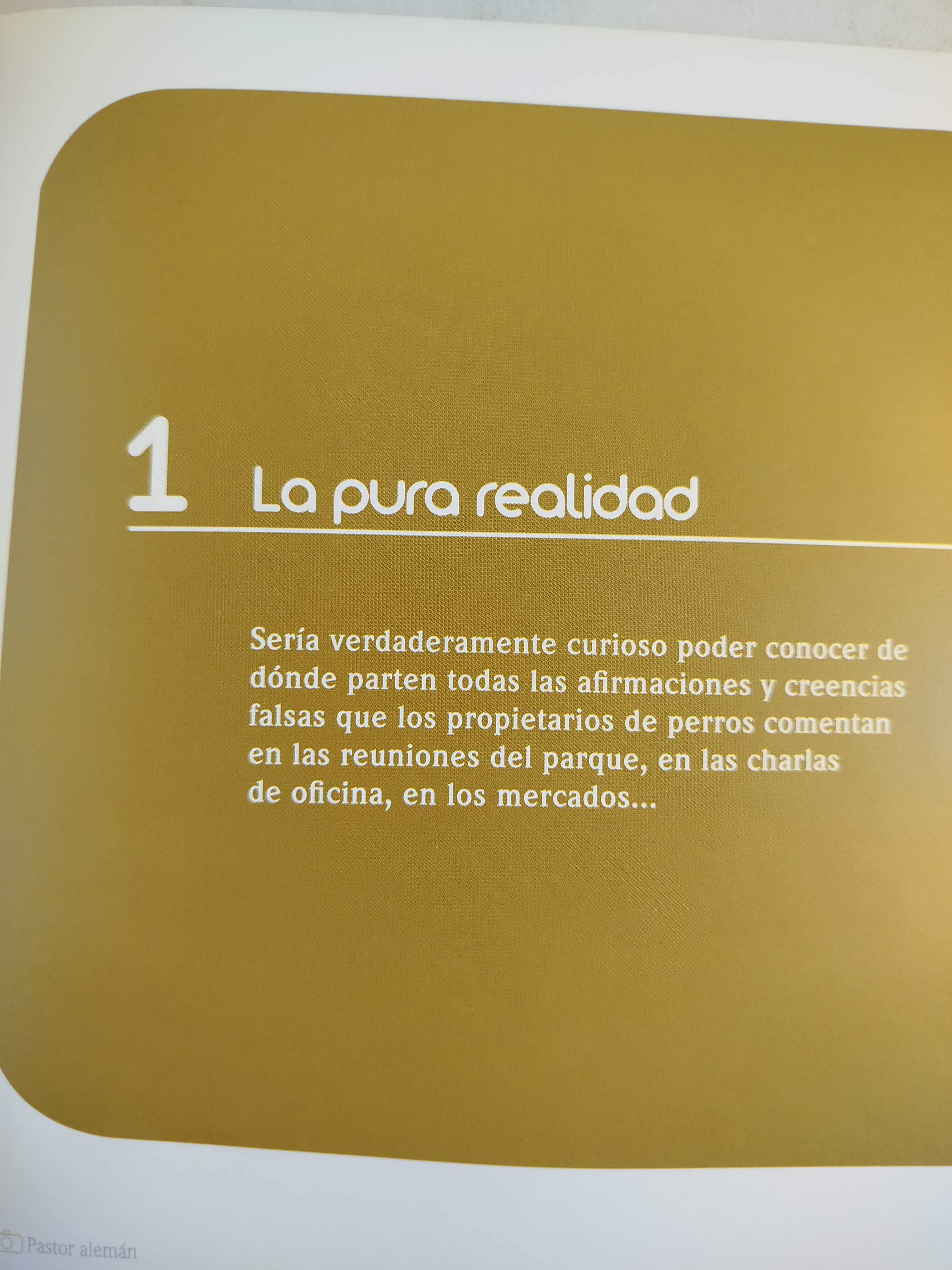 El encantador de perros 14 falsas creencias - Image 3