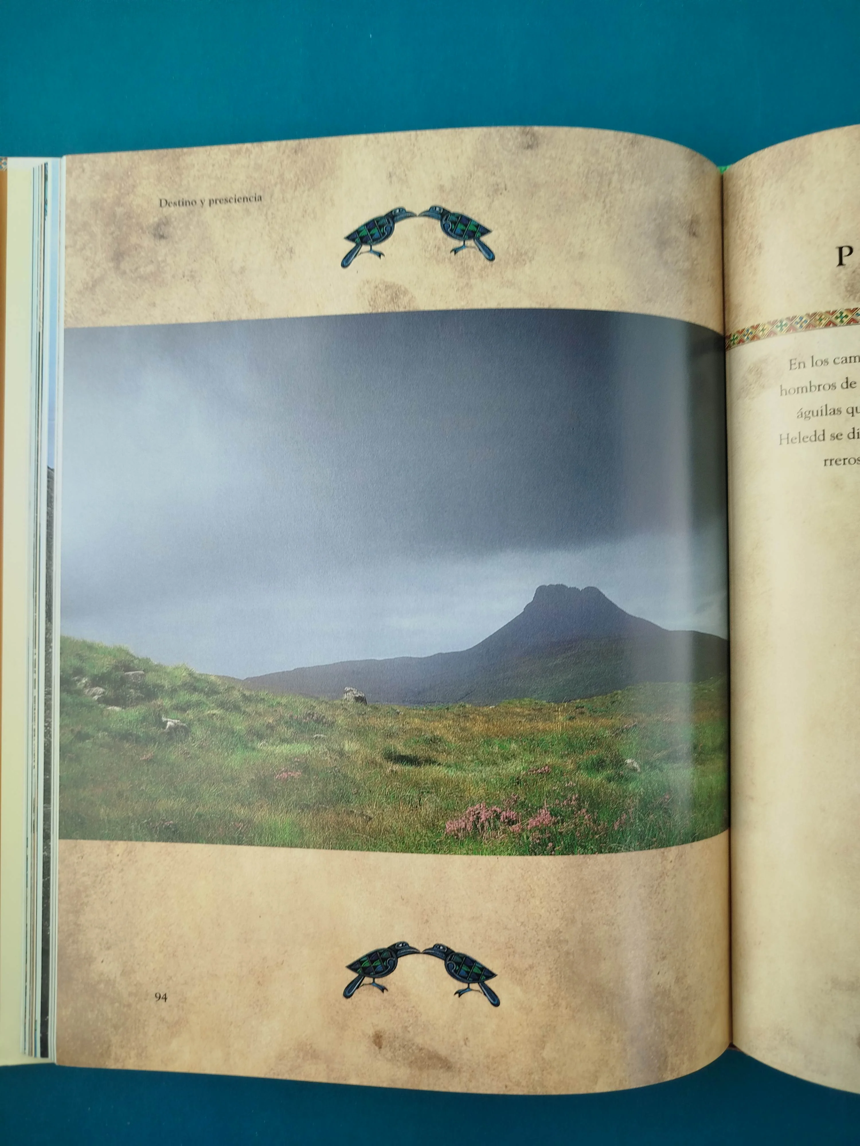 El libro celta de la vida y la muerte - Image 3