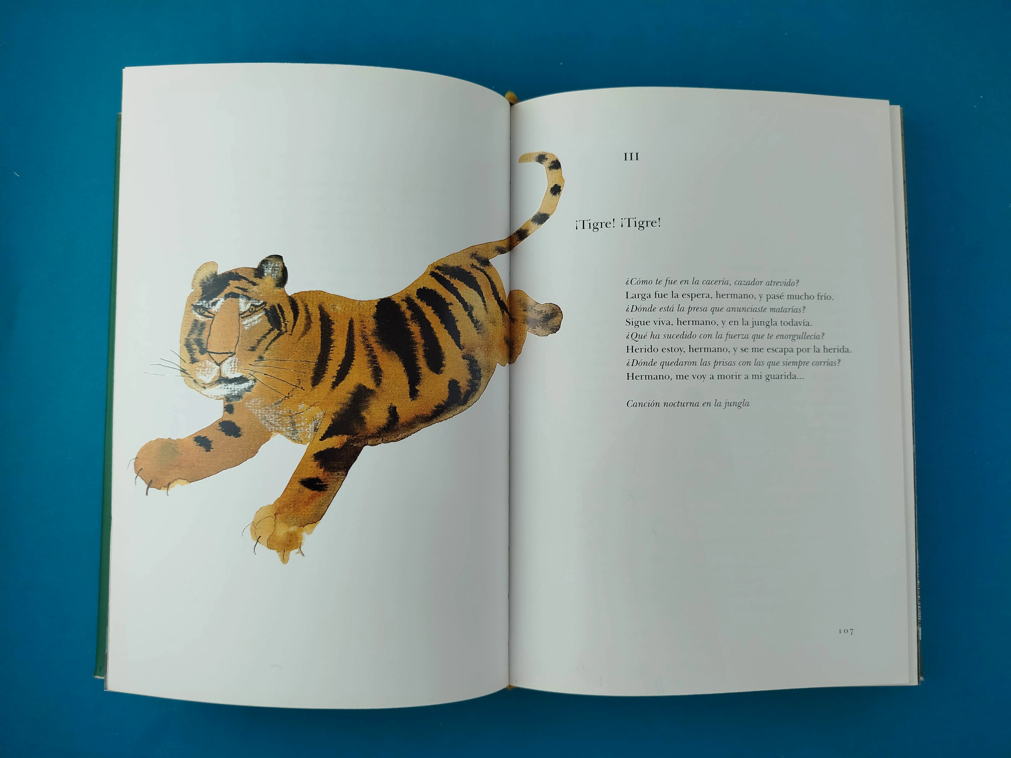 El libro de la jungla - Image 2